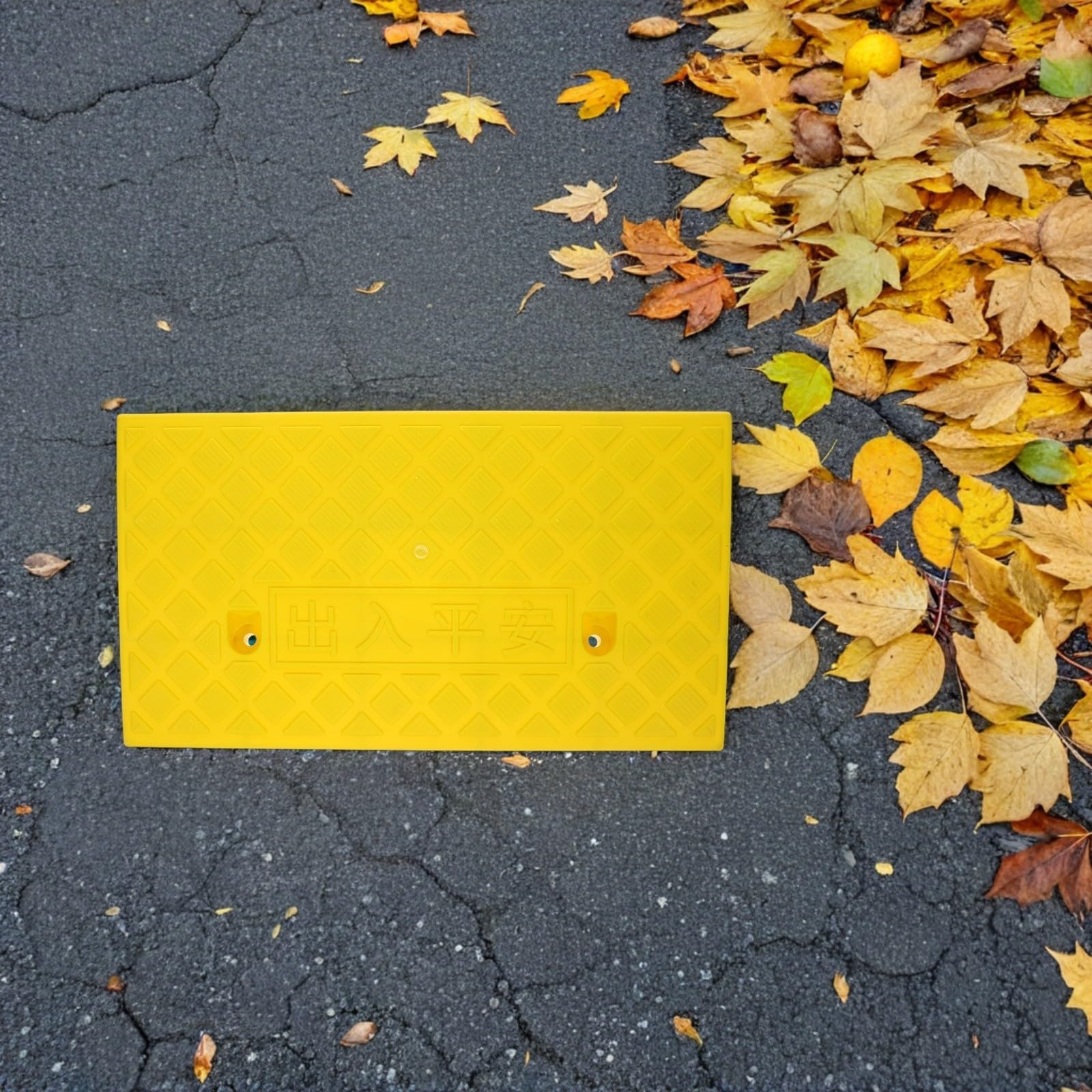 Levemolo Rampa Antideslizante para Bordillos Plataforma Estable para Vehículos y Sillas de Ruedas Acceso Seguro para Garajes y Exteriores Fácil Instalación
