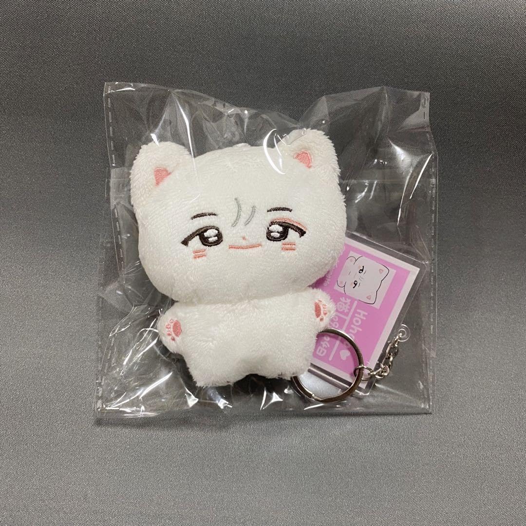 Amazon.co.jp: ボイネク ソンホ ぬいぐるみ 10cm マスター : おもちゃ