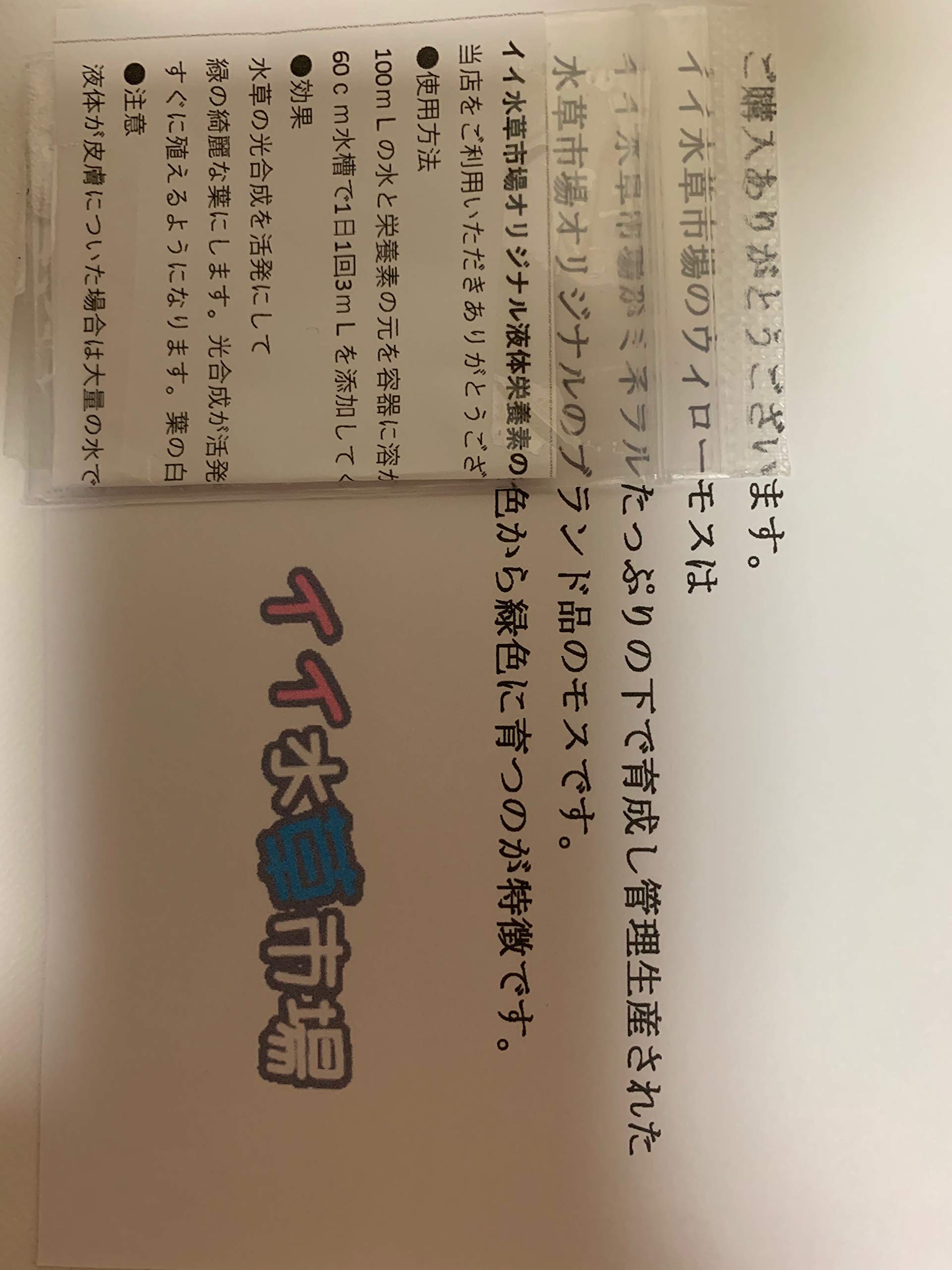 Amazon.co.jp: （水草）無農薬 無害虫 南米ウィローモス（水中葉