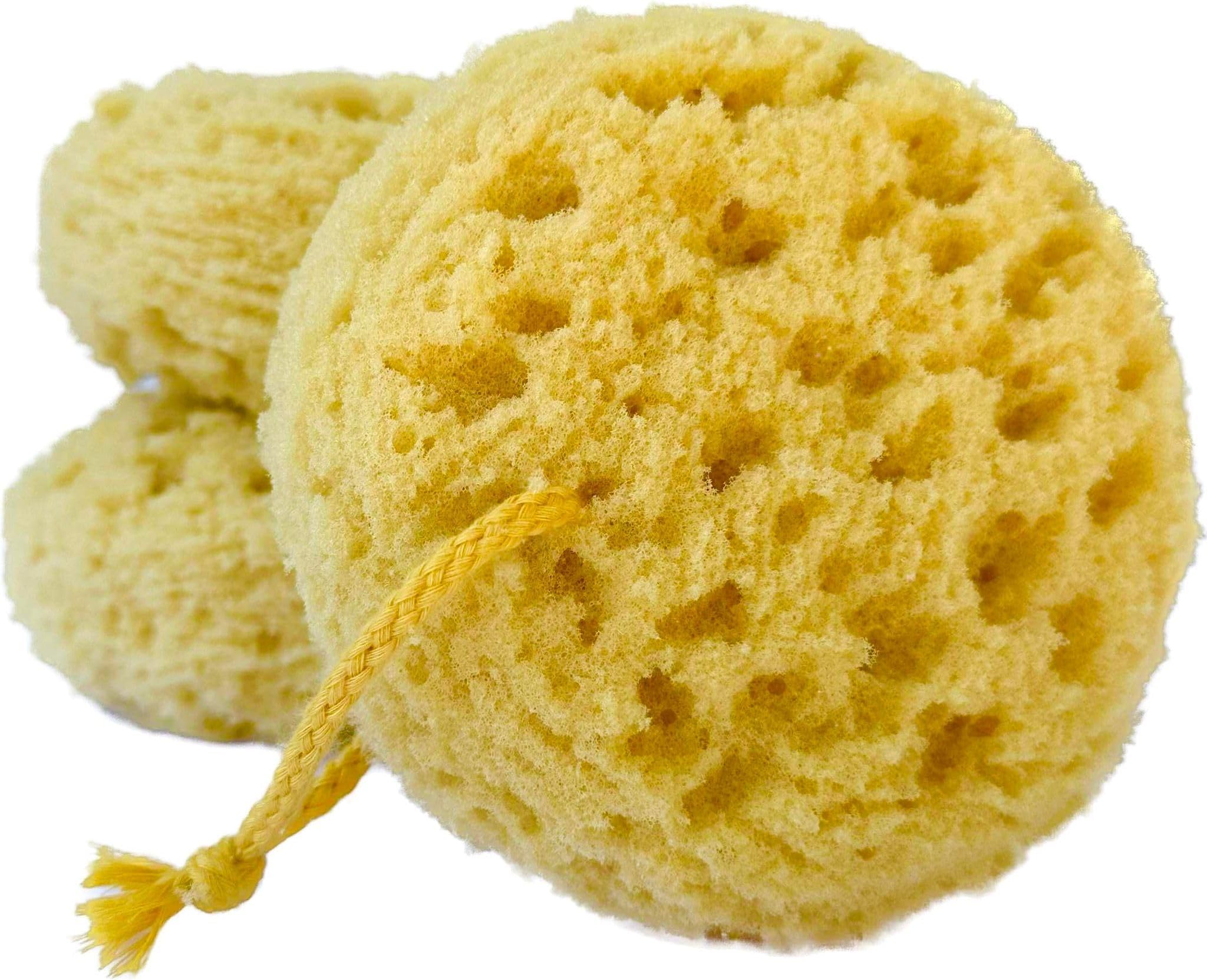 Michelle's Melting Pot Exfoliating Foam Sea Sponge 5 Inch (Pack of 3) Natural Feel