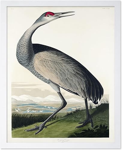 Miniatura 79 de Poster Master Póster vintage de colibríes, impresión de formas de arte retro en la naturaleza, arte de pájaros, regalo para él, ella y amante de los