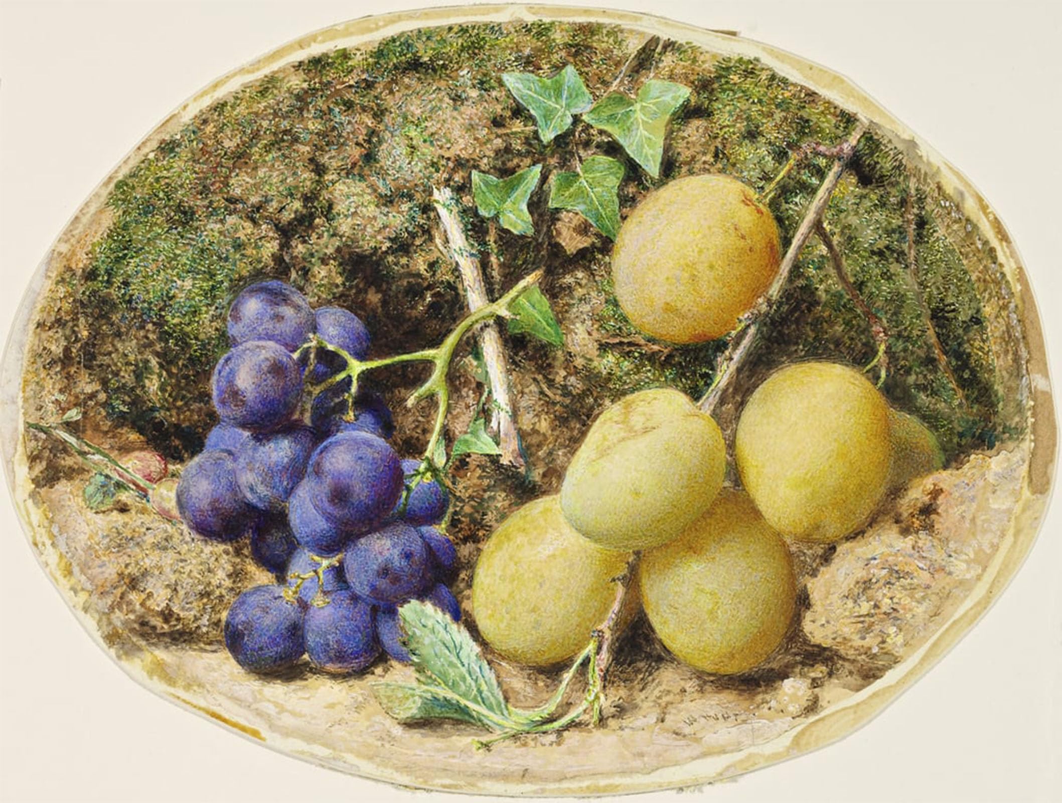 POSTERIIk Vintage Classic Picture Landscape Artwork Golden Drop Plums and Black Grapes by William Henry Hunt Portrait Canvas Painting for Office Home Decor 60x90cm