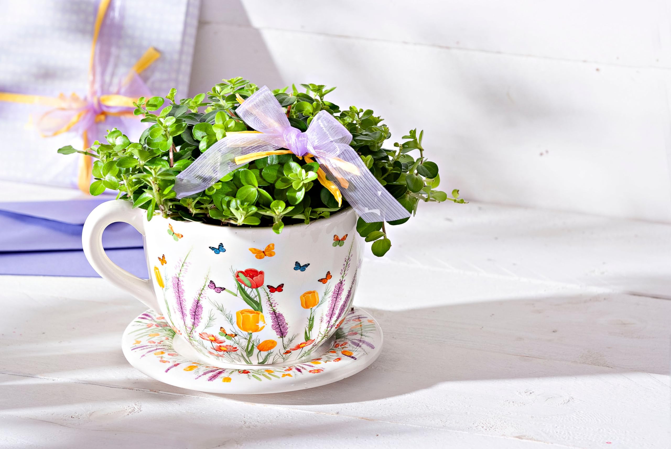Weltbild Blumentopf Tasse Flora: Amazon.de: Garten