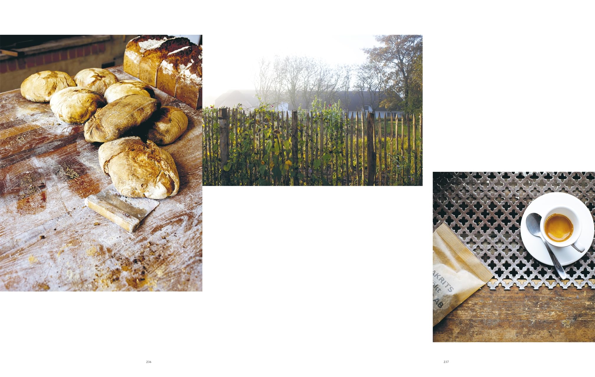 Modern Nordic: Über 100 Rezepte aus den Küchen Skandinaviens. Stilvolles skandinavisches Kochbuch mit atemberaubenden Bildern