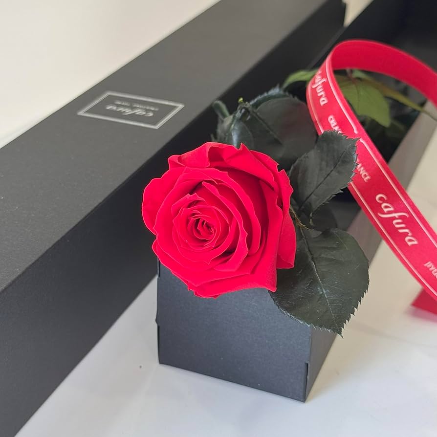 枯れない薔薇★プリザーブドフラワー 枯れないバラ＊cuteレッド プリザーブドフラワー RoseGarden