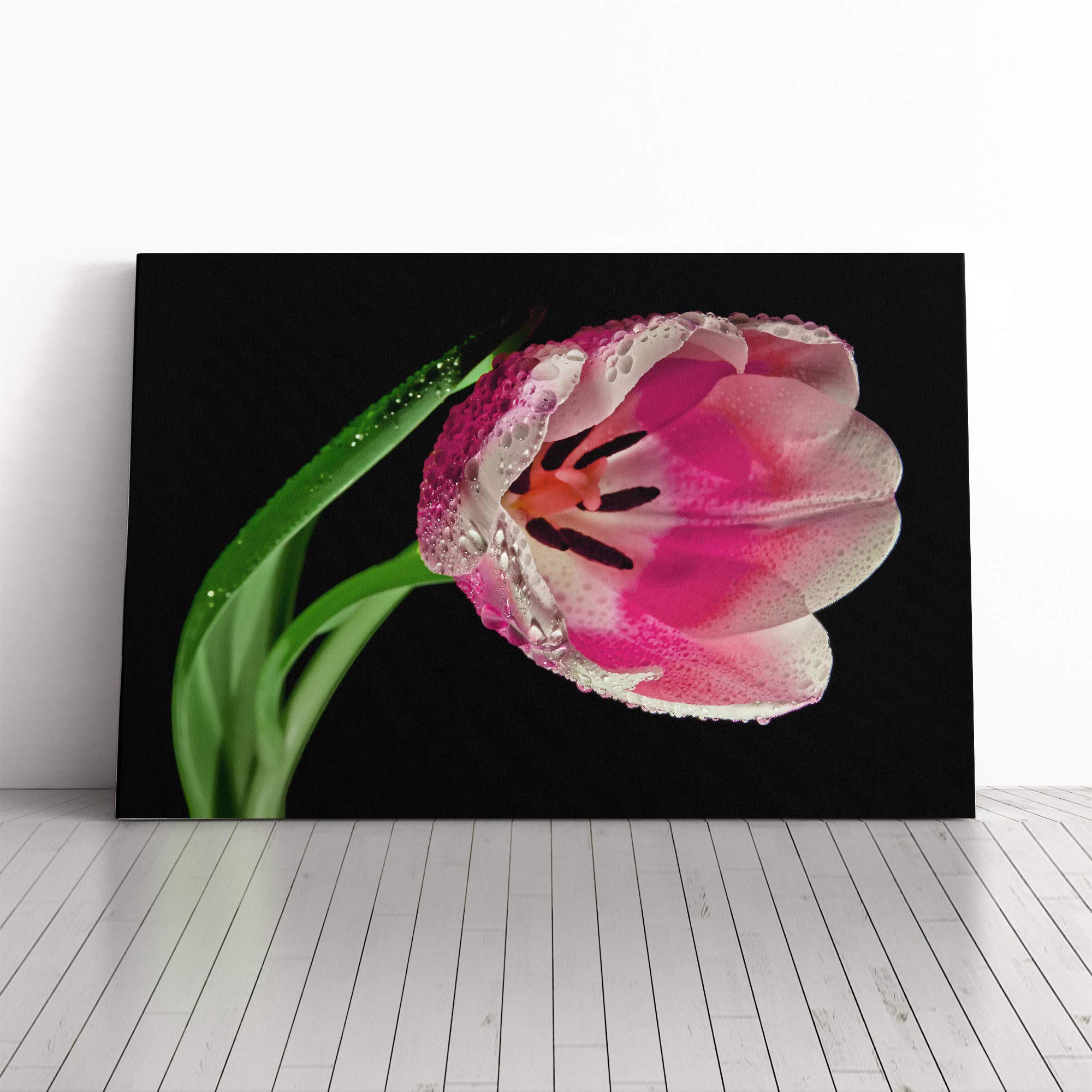 Flower Pink Tulip Canvas Print | Gallery Wrapped 30mm Frame Wall Art | 30x20 inches | Ready to Hang | Modern Floral Picture | Living Room Bedroom Lounge Office