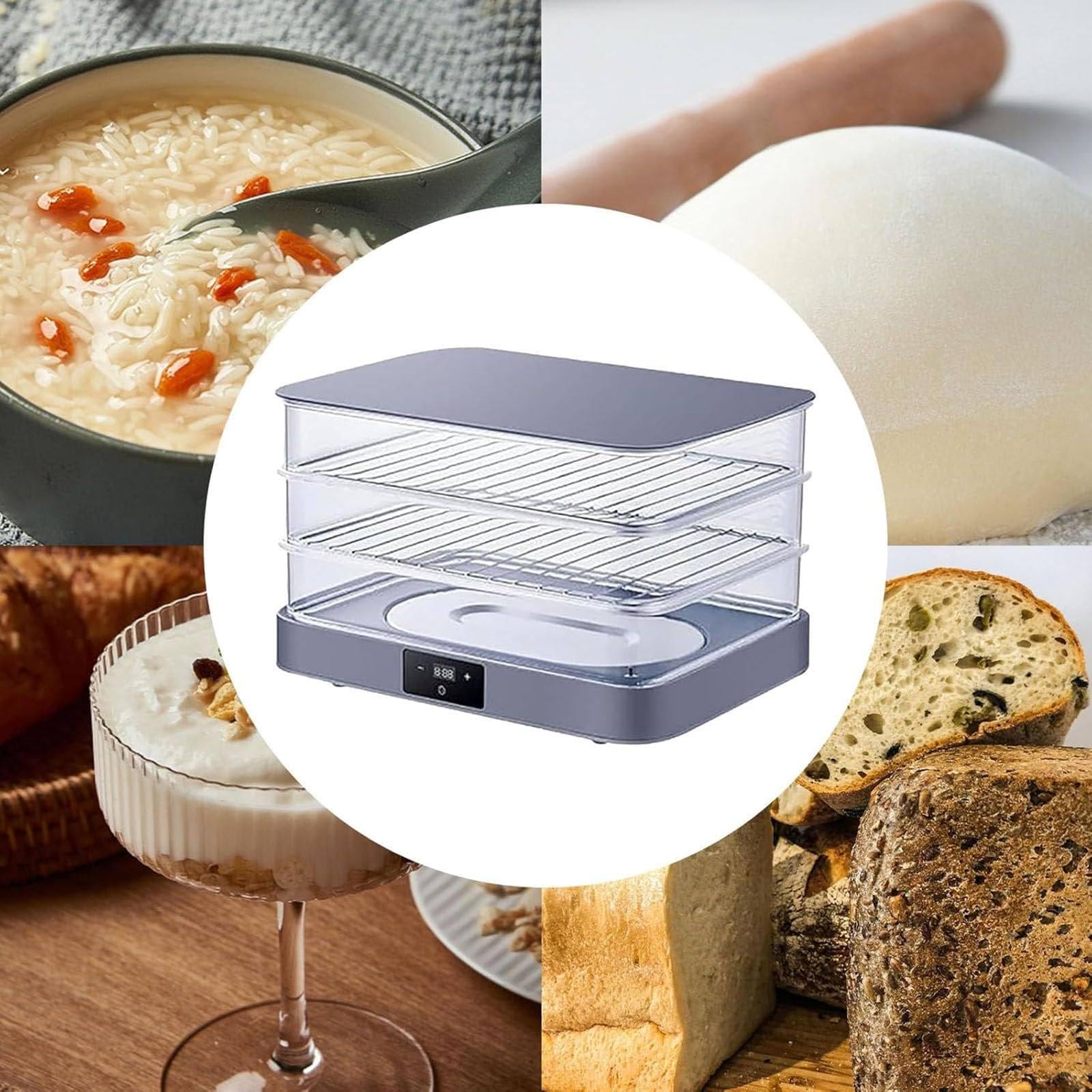 Machine de fermentation de la pâte électrique 40 L avec contrôle réglable de température, durée et humidité