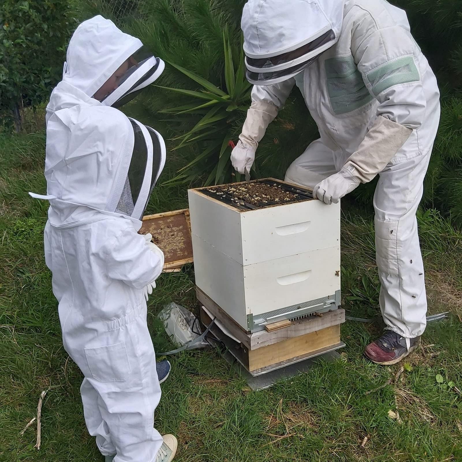 Imkerei Anzug Kinder Imkeranzug mit Schleier Anti-Biene Overall Bienenschutz atmungsaktiv einteilig Bienenhaus Naturerlebnis für Garten Freizeit(Yellow,Medium)