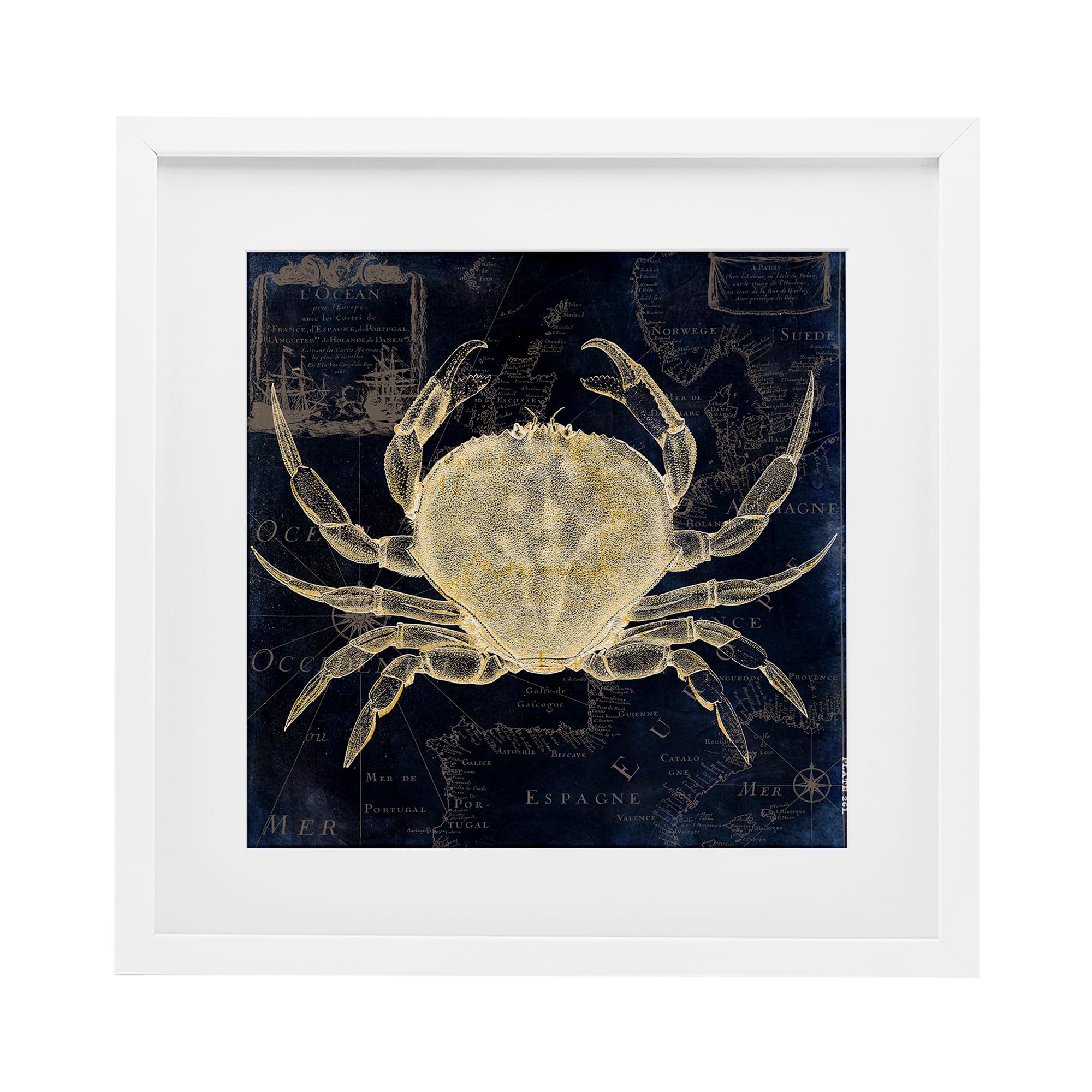 Impression encadrée crab contour cadre 33x33cm illustration sasha