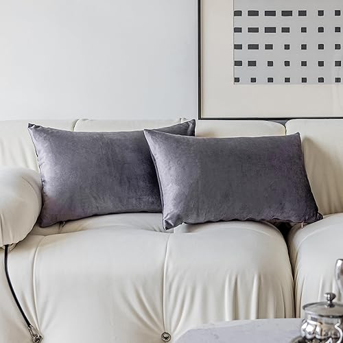 Demetex Juego de 2 fundas de almohada decorativas de felpa morada de 12 x 20 pulgadas, fundas de almohada rectangulares suaves de terciopelo para