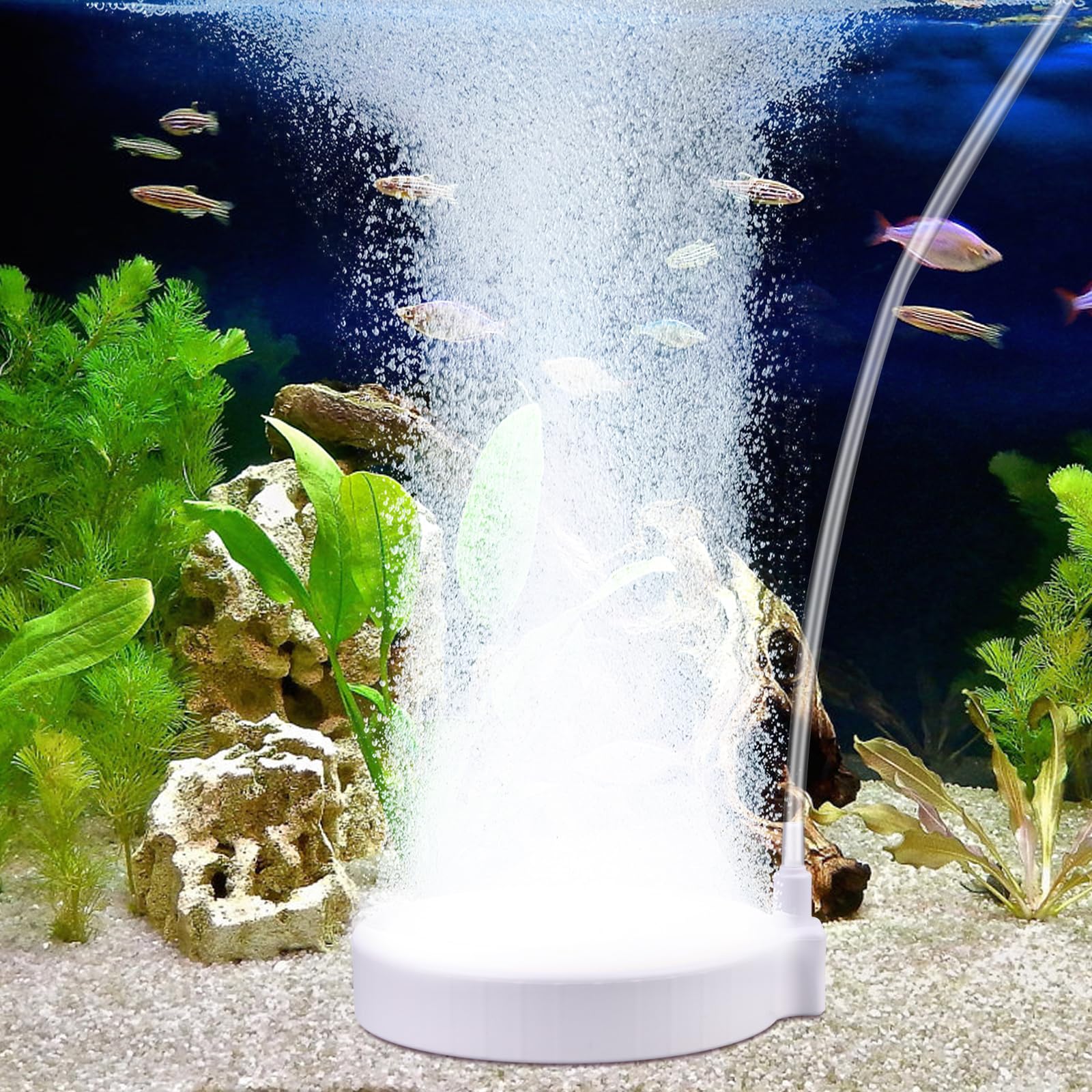 Piedra De Aire para Acuario, Piedra De Nano Burbujas De 100mm para Acuario, Piedra De OxíGeno para Acuario Difusor De Nano Burbujas Silencioso con Accesorios Y VáLvula De Control