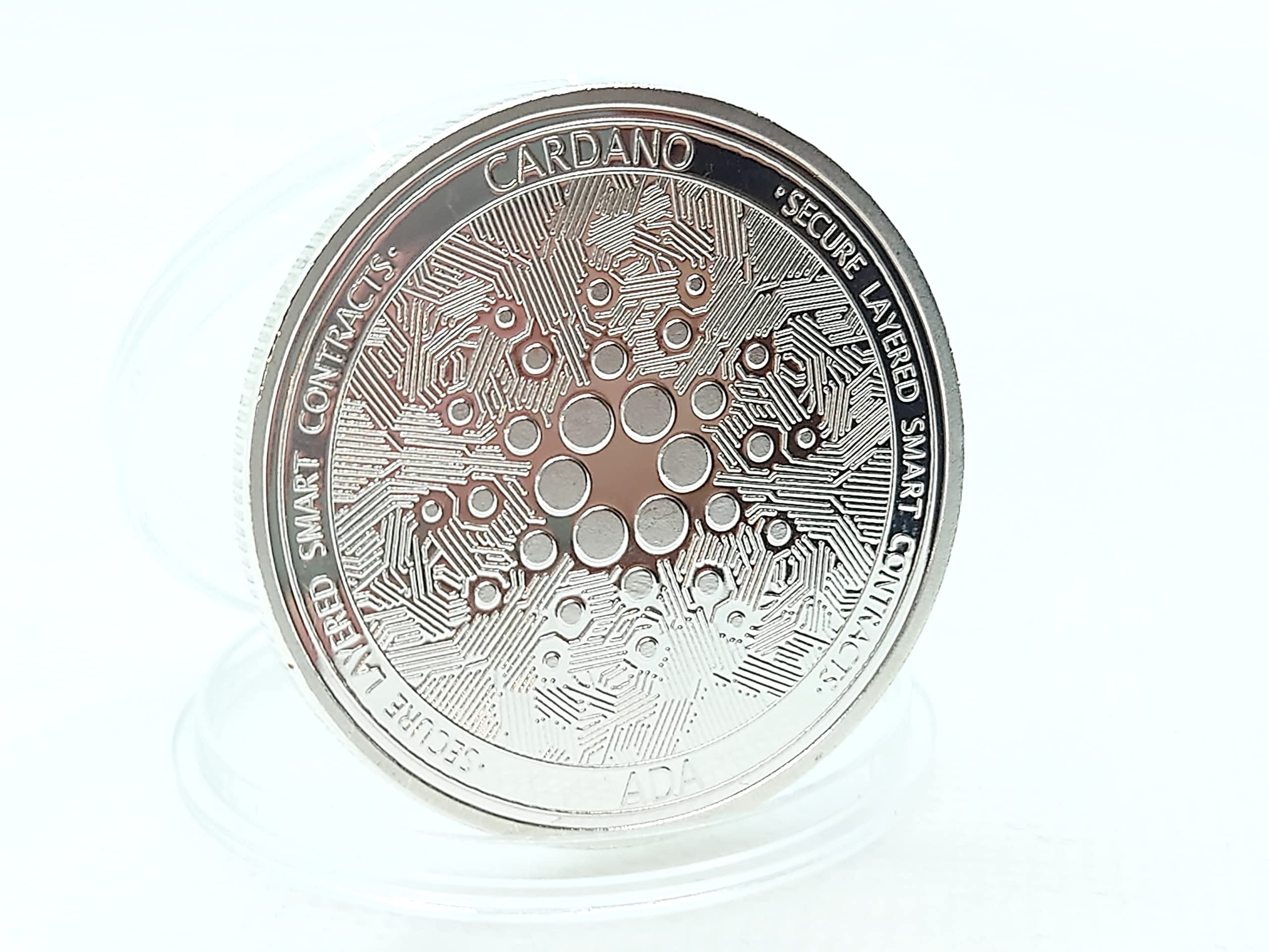 Amazon.co.jp: ADAコイン エイダコイン カルダノコイン adaコイン えいだこいん かるだのこいん 1枚 クリアケース付き  日本国内から発送（シルバー） : ホビー
