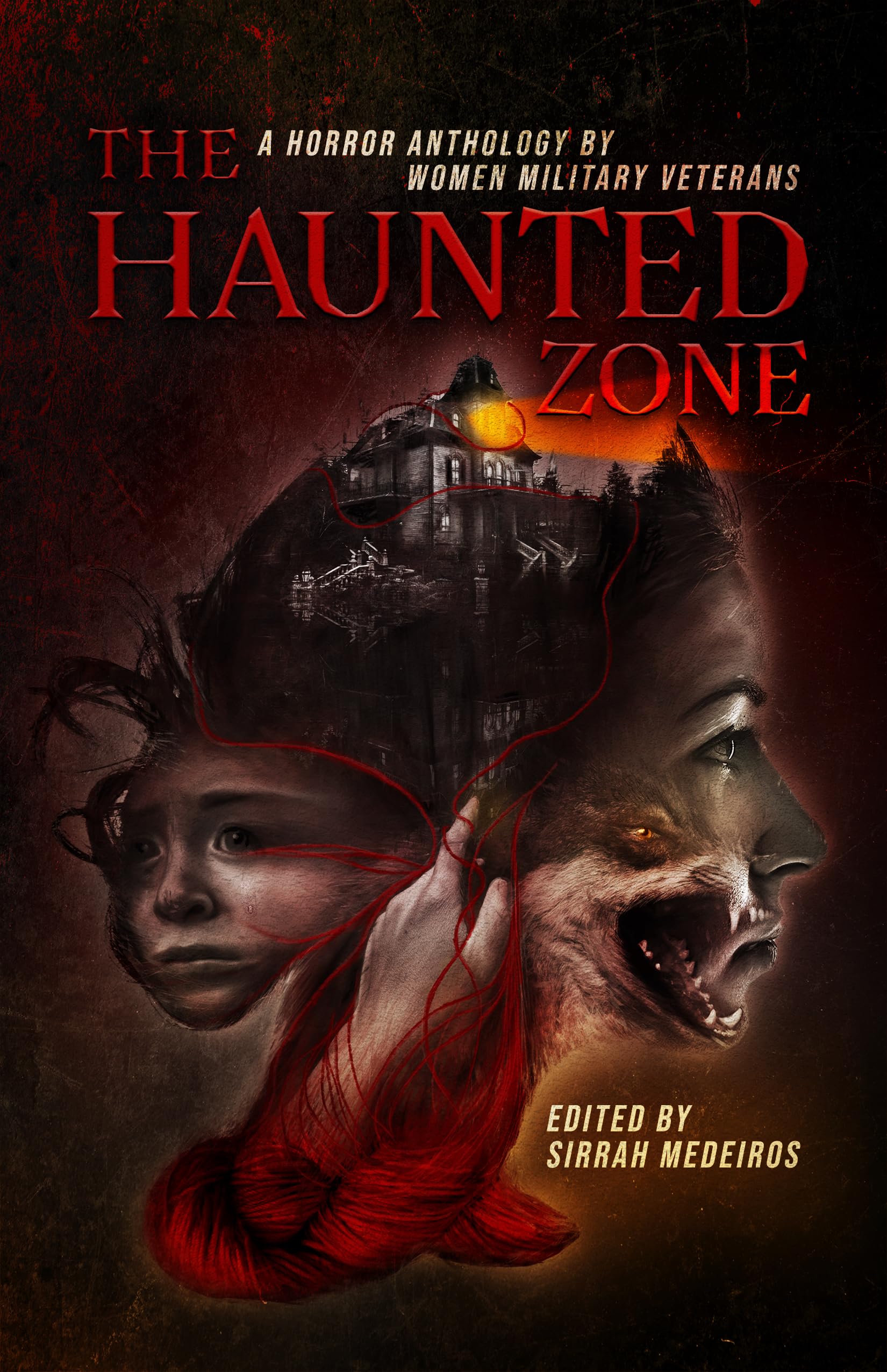 Cover of The Haunted Zone