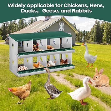 Metal Chicken Nesting Box 8 Compartment, 2-Layer, Wall Mount or Free Standing, Perch, Secure Lid, Vented Holes, Easy Egg Collection Poultry Coop Accessory Green