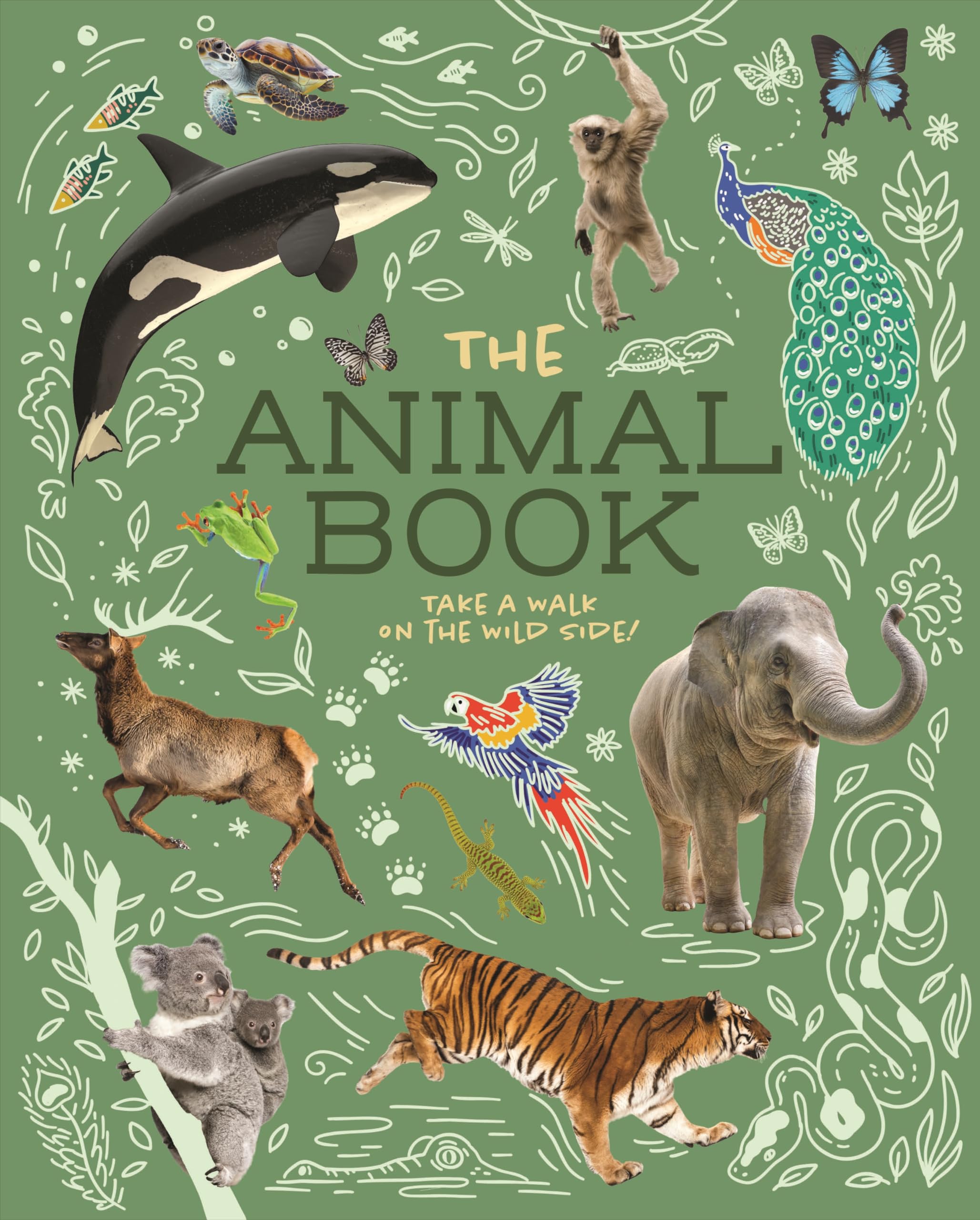 Animal Book Take a Walk on the Wild Side! by Dr Meriel Lland (Paperback Book)