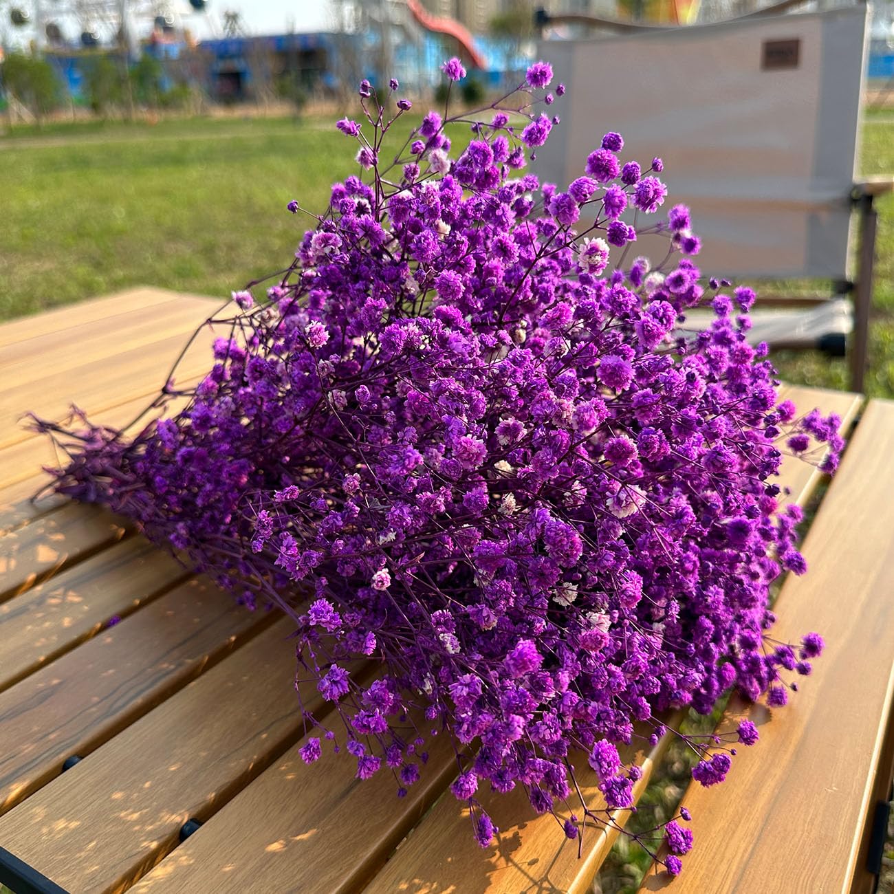 Viola Gypsophila Essiccata, 43cm Naturale Fiori Secchi stabilizzata Oltre 3000 Boccioli, Gypsophila Secchi per Matrimonio, Decorazione della Casa, Fai da Te e Partito