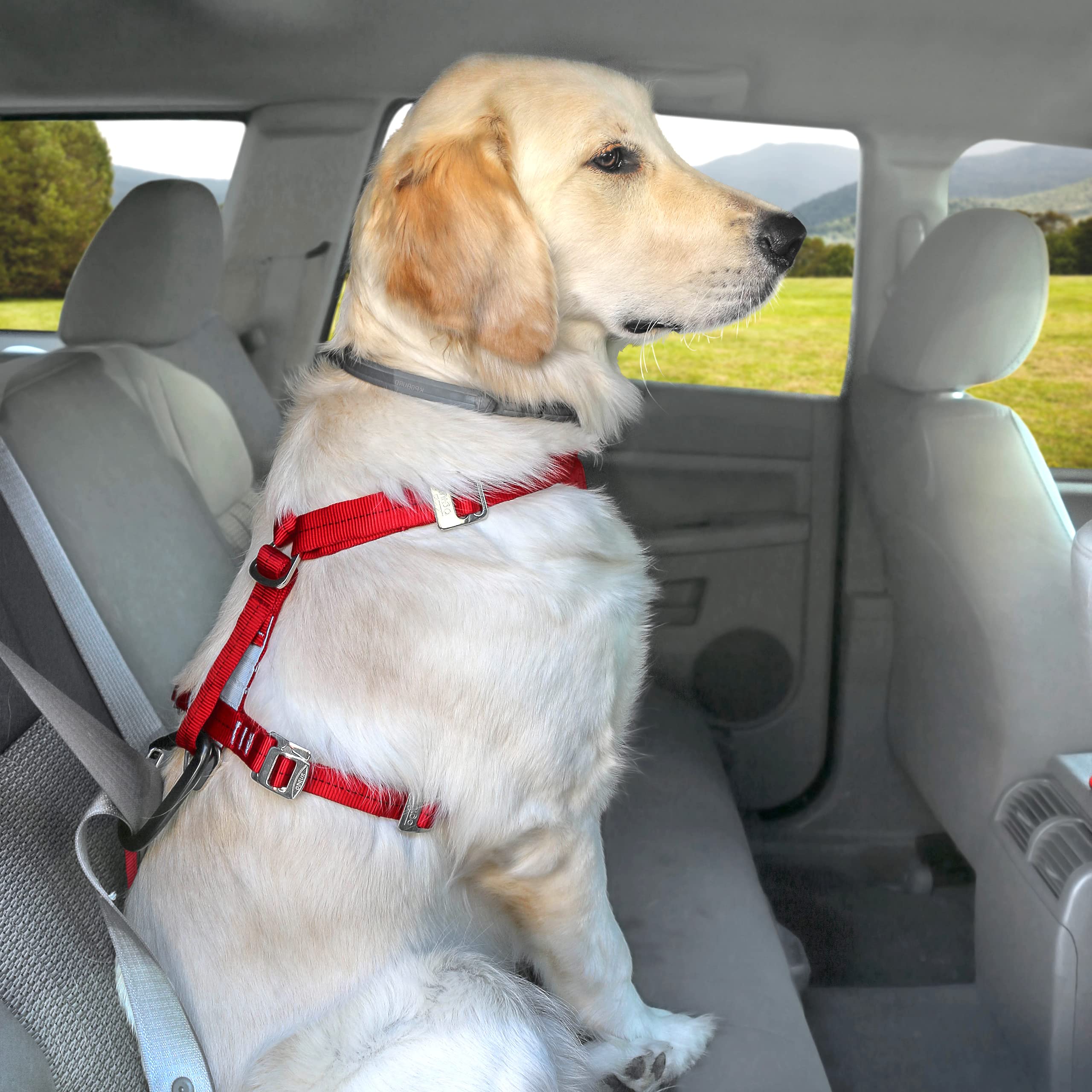Kurgo TRU-Fit Autosicherheitsgeschirr für Hunde, Mit gepolstertem Brustteil und D-Ring, Mit Autogurt, Größe S, Grau