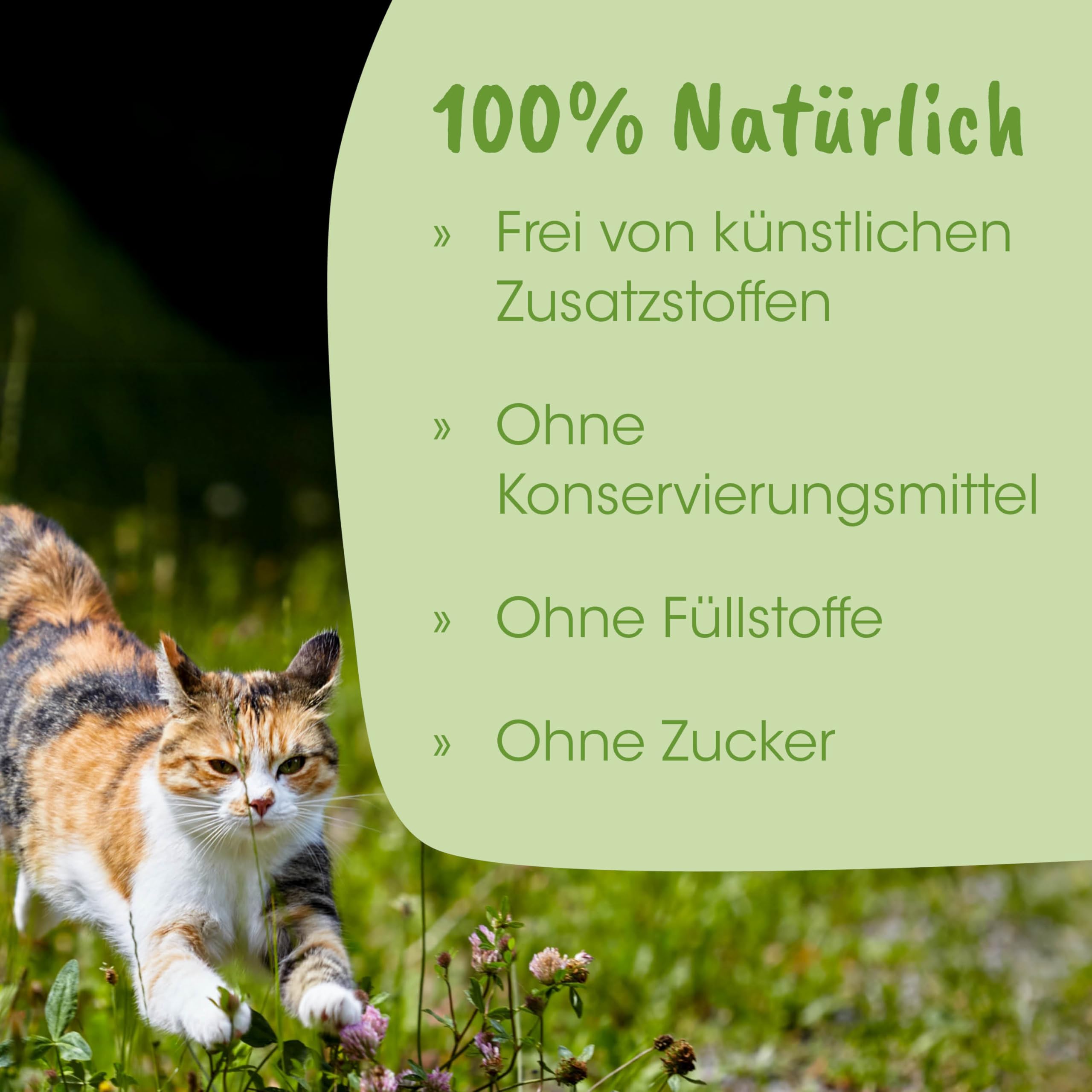 cdVet Natural Products ArthroGreen Jointfit 70 g – wspiera dietetyczne wsparcie układu mięśniowo-szkieletowego – wspomaga zaopatrzenie więzadeł, ścięgien i tkanki łącznej -