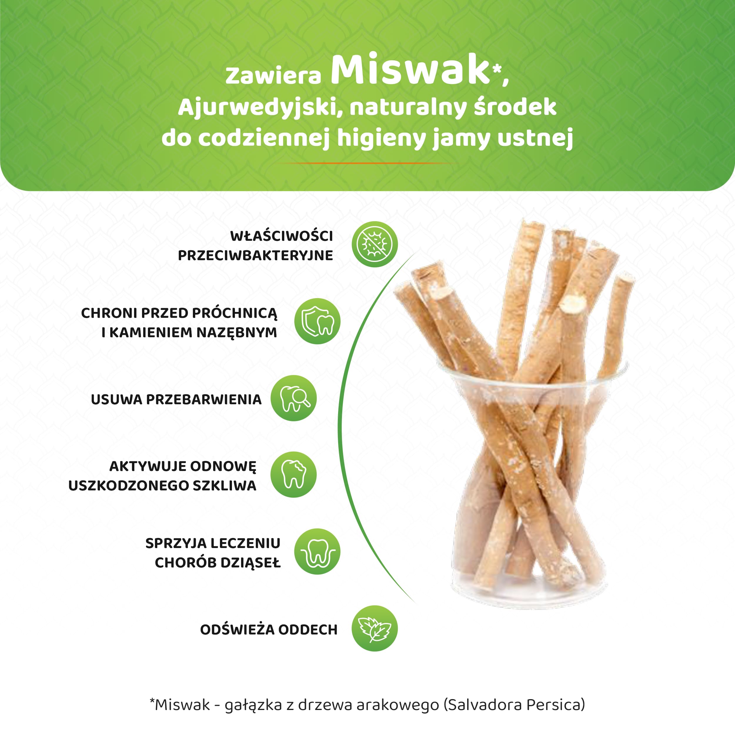 Himalaya Pasta do Zębów Gum Expert - Mint Fresh Długotrwały Świeży Oddech, Ziołowa Formuła, Ochrona przed Szkodliwymi Bakteriami i Tworzeniem się Płytki Nazębnej, 75 ml