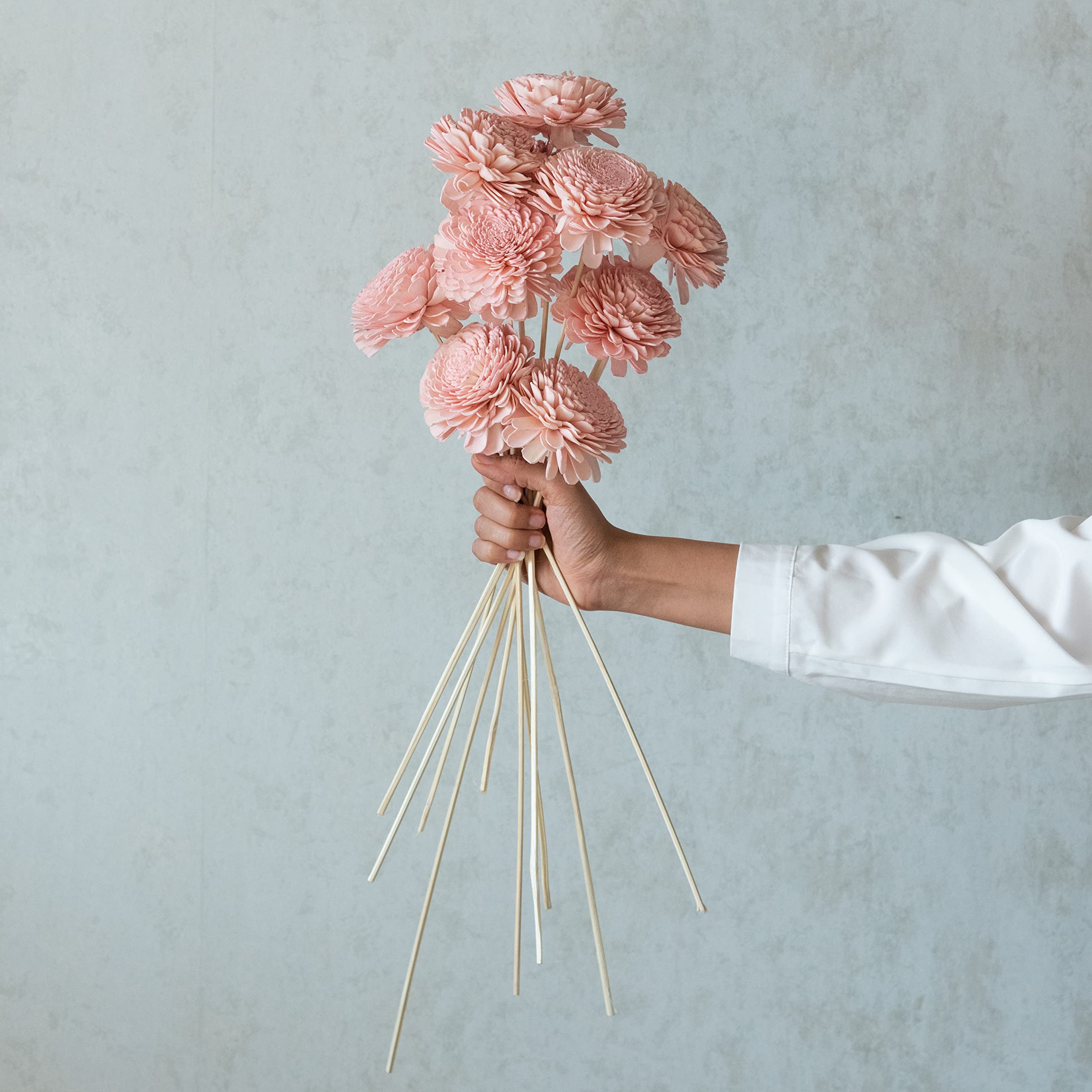 Pink Sola Belly Flowers On Stem | Natural Dried Flower | Eco-Friendly Flowers for Home, Office, Bedroom, Table Decoration and Craft Items Corner (Without Vase Pot)