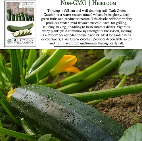 Miniatura 3 de Semillas de calabaza de verano de calabacín verde oscuro para plantar, más de 50 semillas tradicionales por paquete, semillas de jardín de Isla