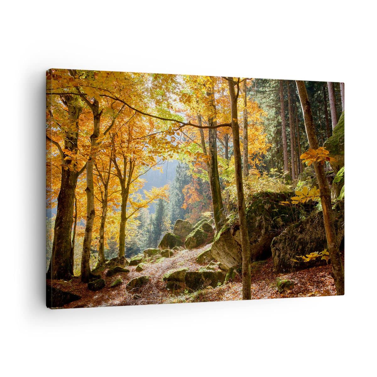 Quadro su Tela Giraffa Bambini Sogno Stampe da Parete 70x50cm Quadri Moderni Soggiorno Camera da Letto Cucina 1 pezzo Piccoli Decorazione Murale Wall Art Canvas Grafica Immagini AA70x50-5879