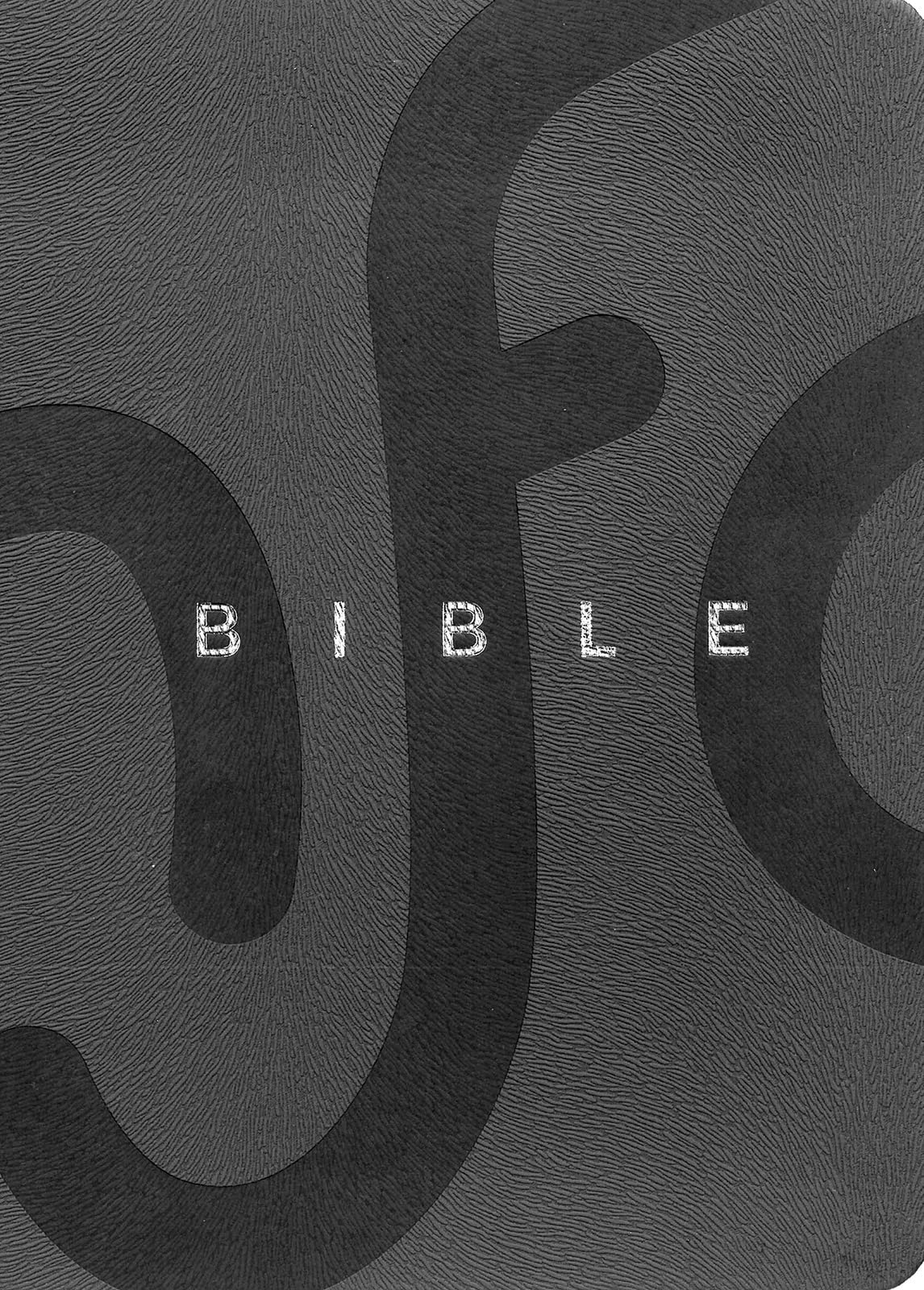 La Bible Nouvelle français courant - Grise, similicuir, tranches argent, souple, luxe, sans les deutérocanoniques: Sans deutérocanoniques, luxe