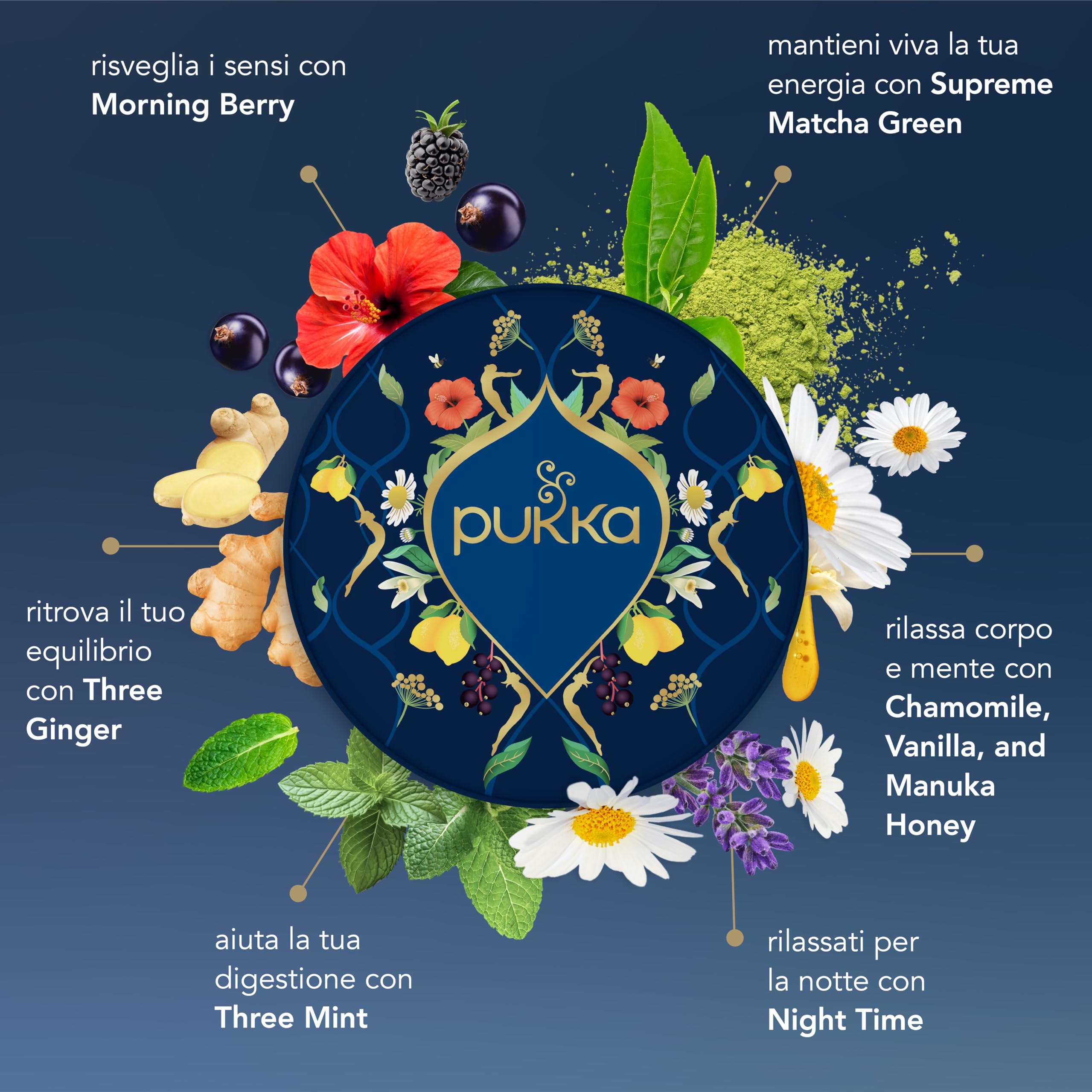 Pukka Selection Box Tisane Biologiche Assortite Regalo, 90 Filtri, 6 Gusti
