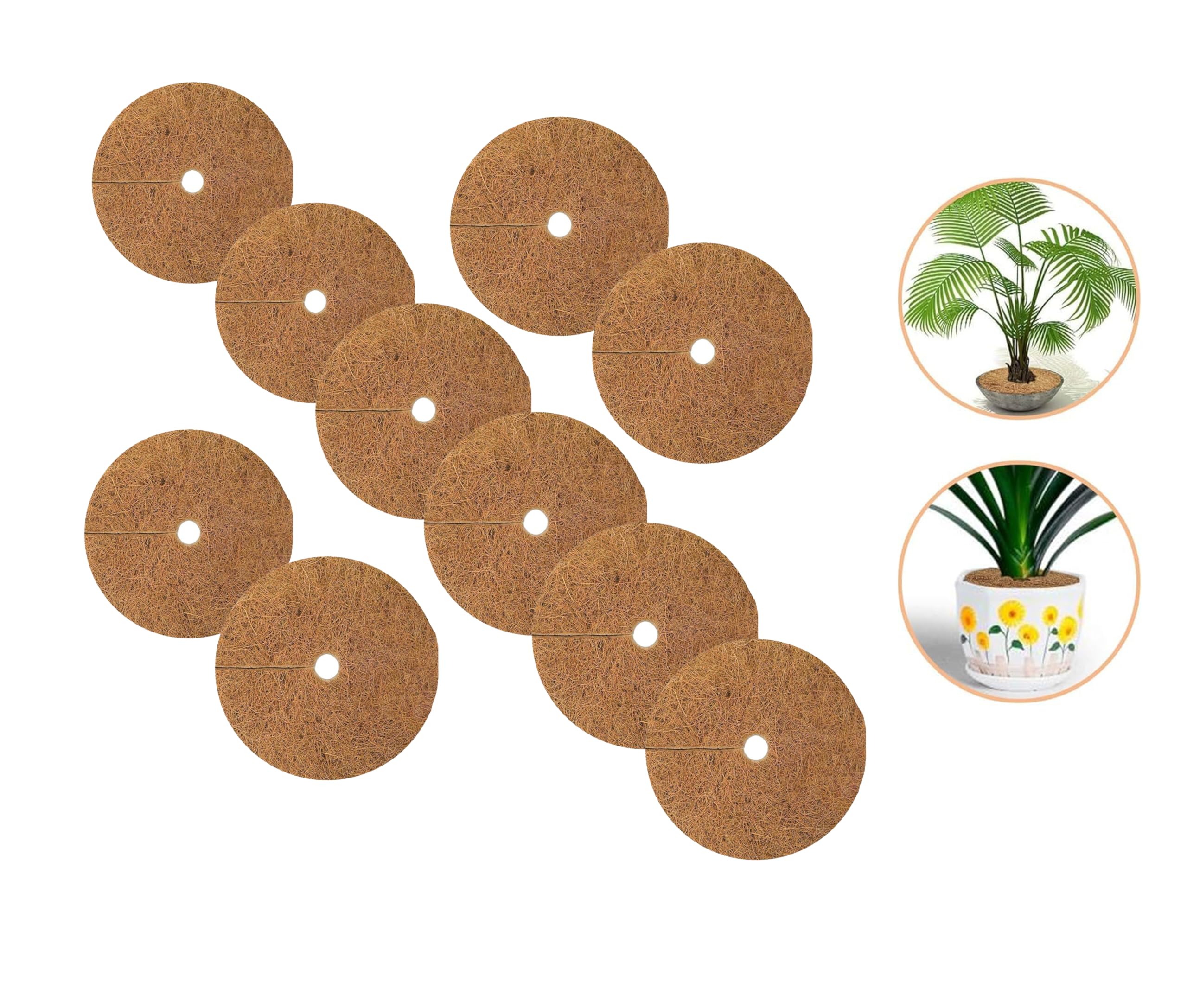 Grow Rich Coco Fiber Mulch Mat 45 cm - Natural Moisture & Weed Control for Lush Plants (5) (B0CS3KCCDM) Amazon Price History, Amazon Price Tracker