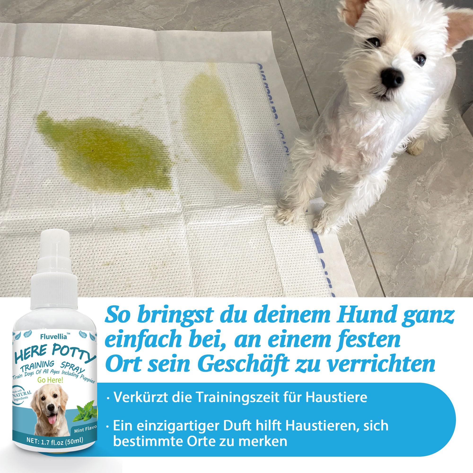 Lot de 2 sprays d'entraînement pour chien Not Here et Here Potty - Ingrédients naturels - 2 flacons pulvérisateurs de 50 ml - Pour chiots et chiens adultes - Arôme d'agrumes et de menthe