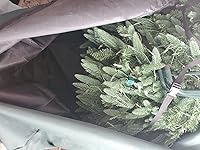 Review Image by Mckenzie Darger Mckenzie Darger