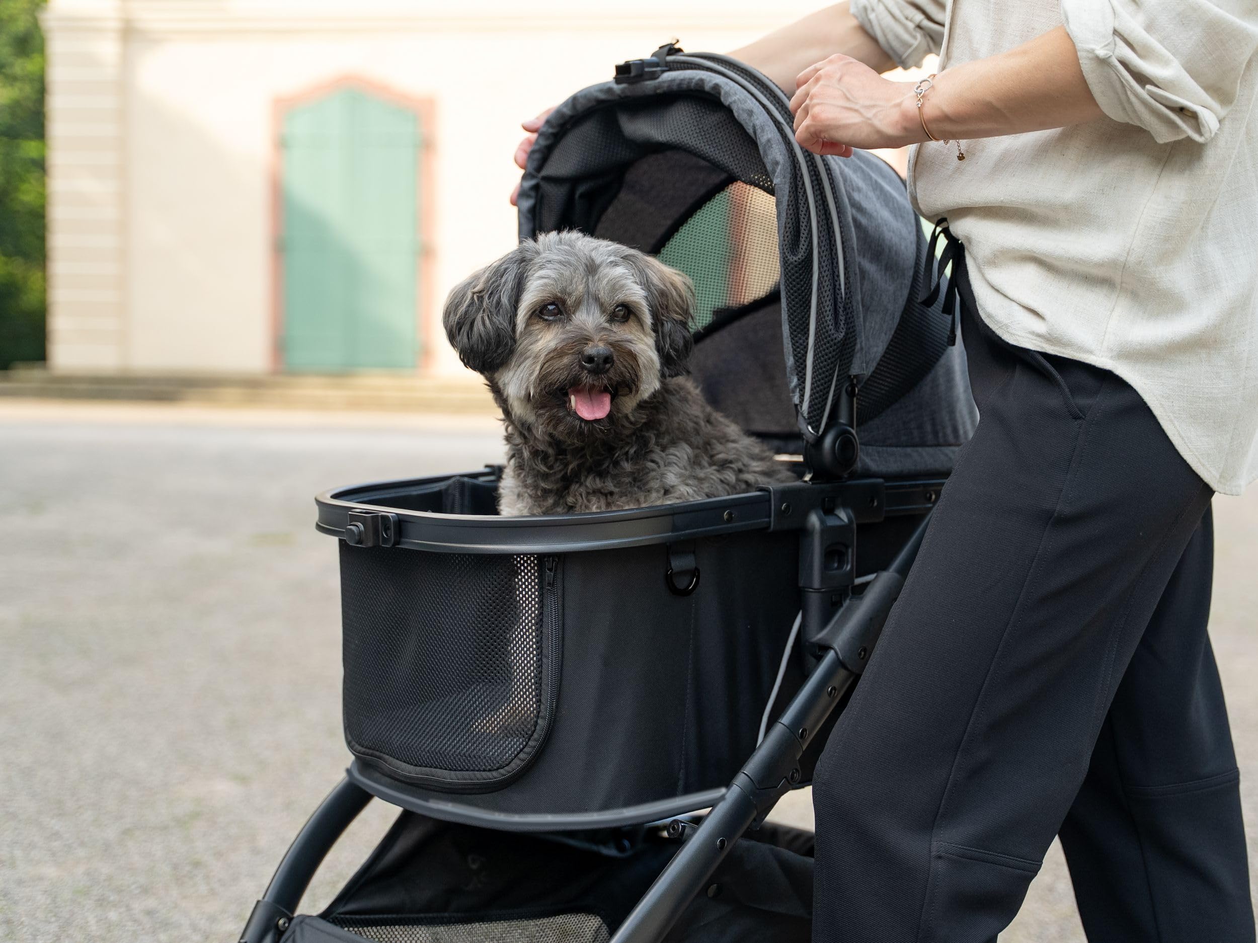 TrendPet Walk Hundebuggy aus Aluminium, Abnehmbarer Sitzkorb mit Orthopädischer Matratze, bis 22 kg