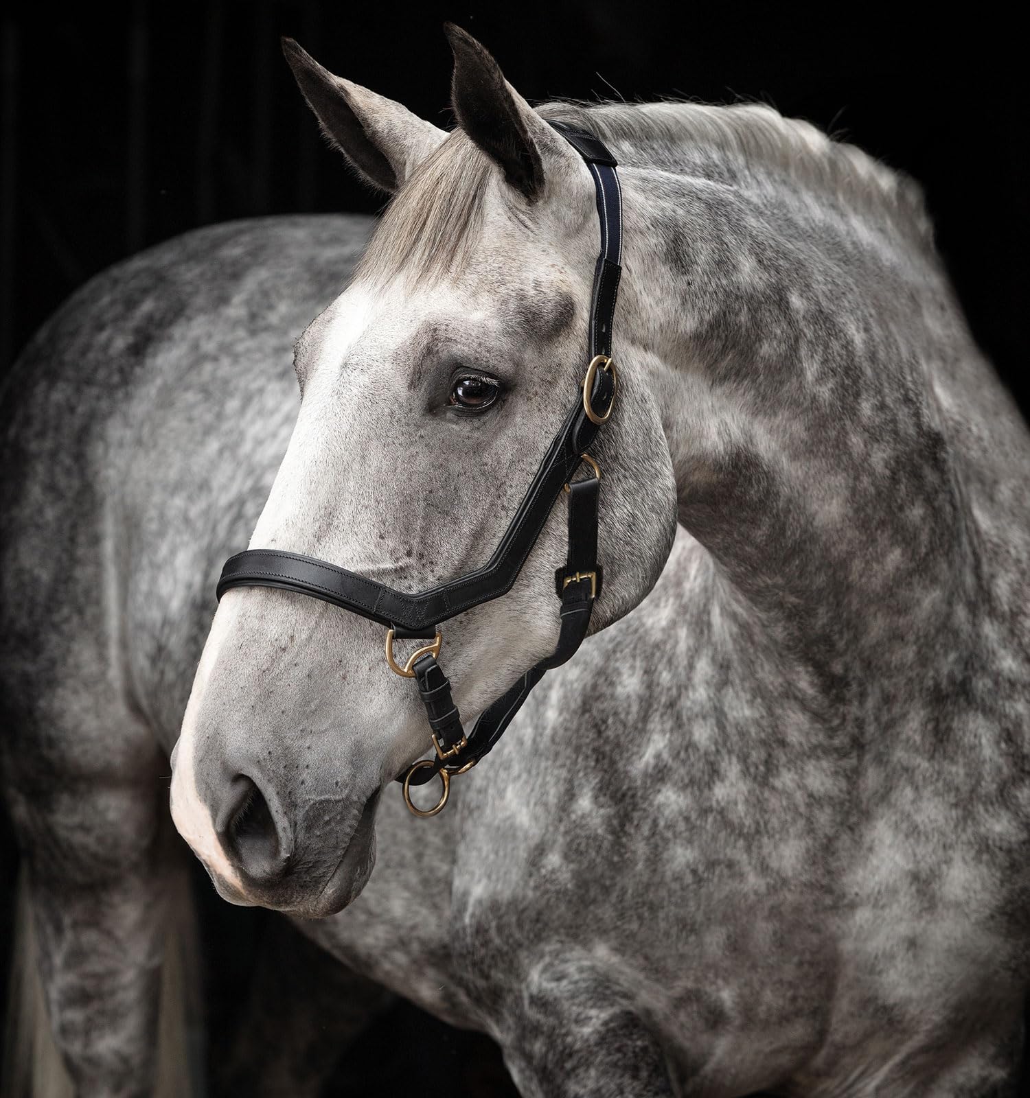 Horseware Products Ltd Rambo Micklem Halter