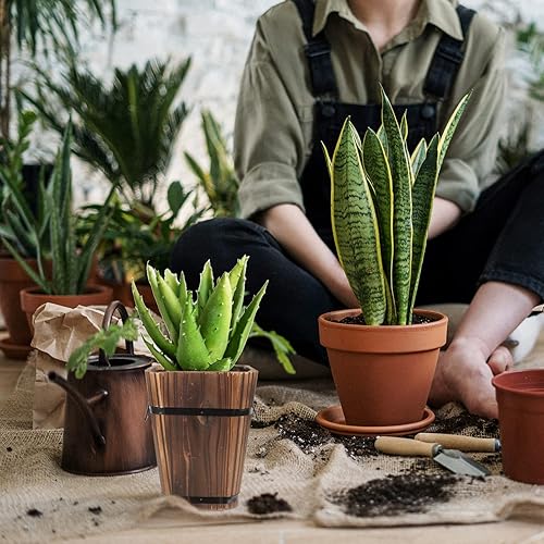 Miniatura 7 de GANAZONO Jardineras de madera con barril para jardín, macetas creativas rústicas para whisky con mango de hierro para plantas, tamaño L