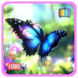 バタフライパラダイスガーデン - 羽ばたく羽音と穏やかなメロディー、天気と時計付き