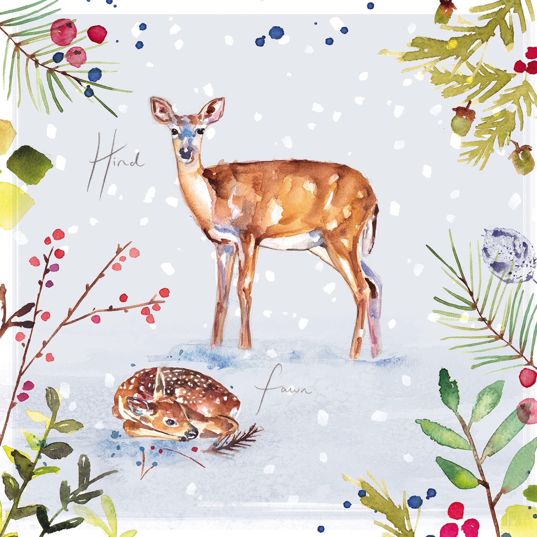 The Great British Card Company Almanac Gallery Box of 16 Artistic Christmas - Jennifer Rose Wildlife - 16 , 4 Each of 4 Stunning Designs