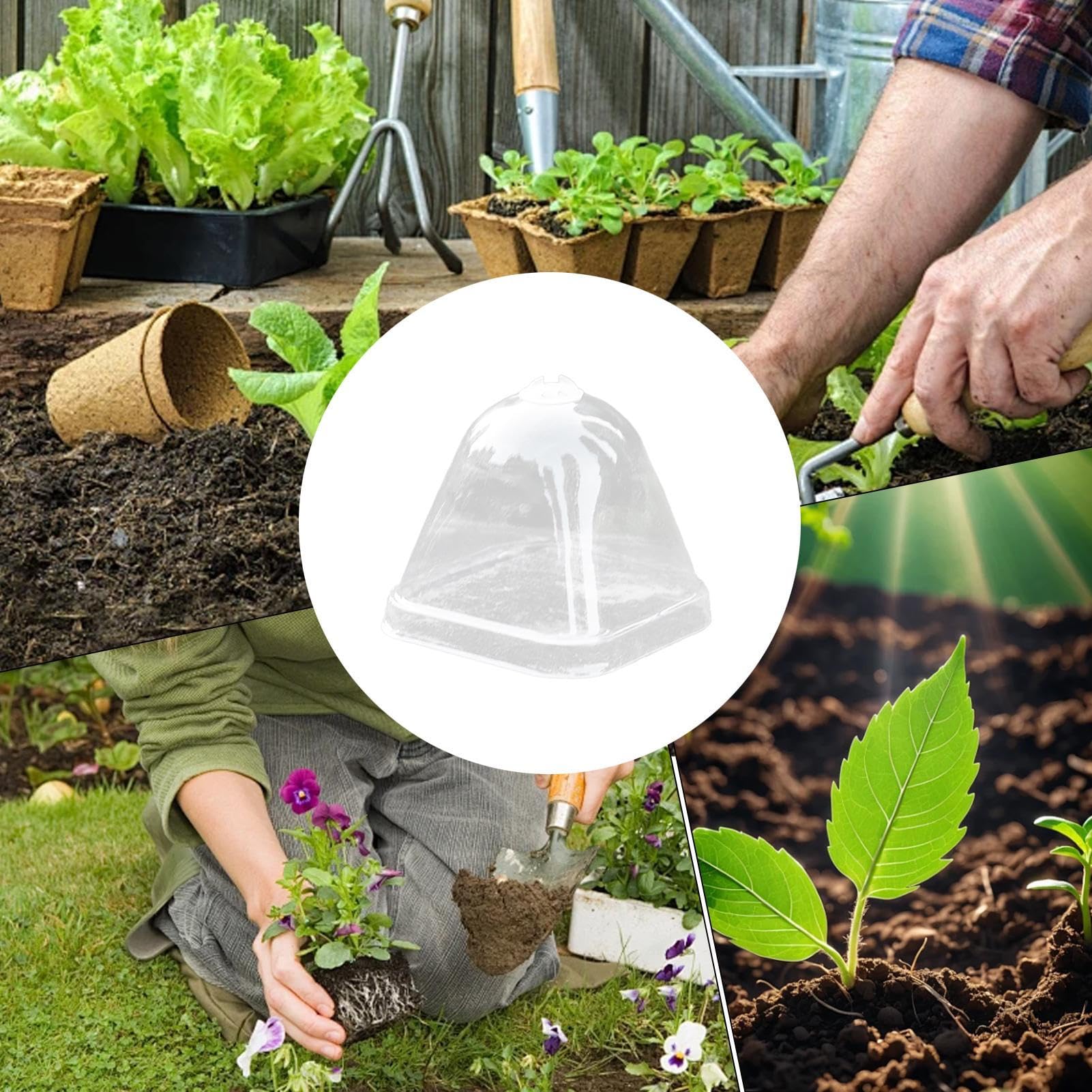Cloche de Transparente Couvercle d'isolation Thermique 10 x Protection Anti-Pluie Mini Serre