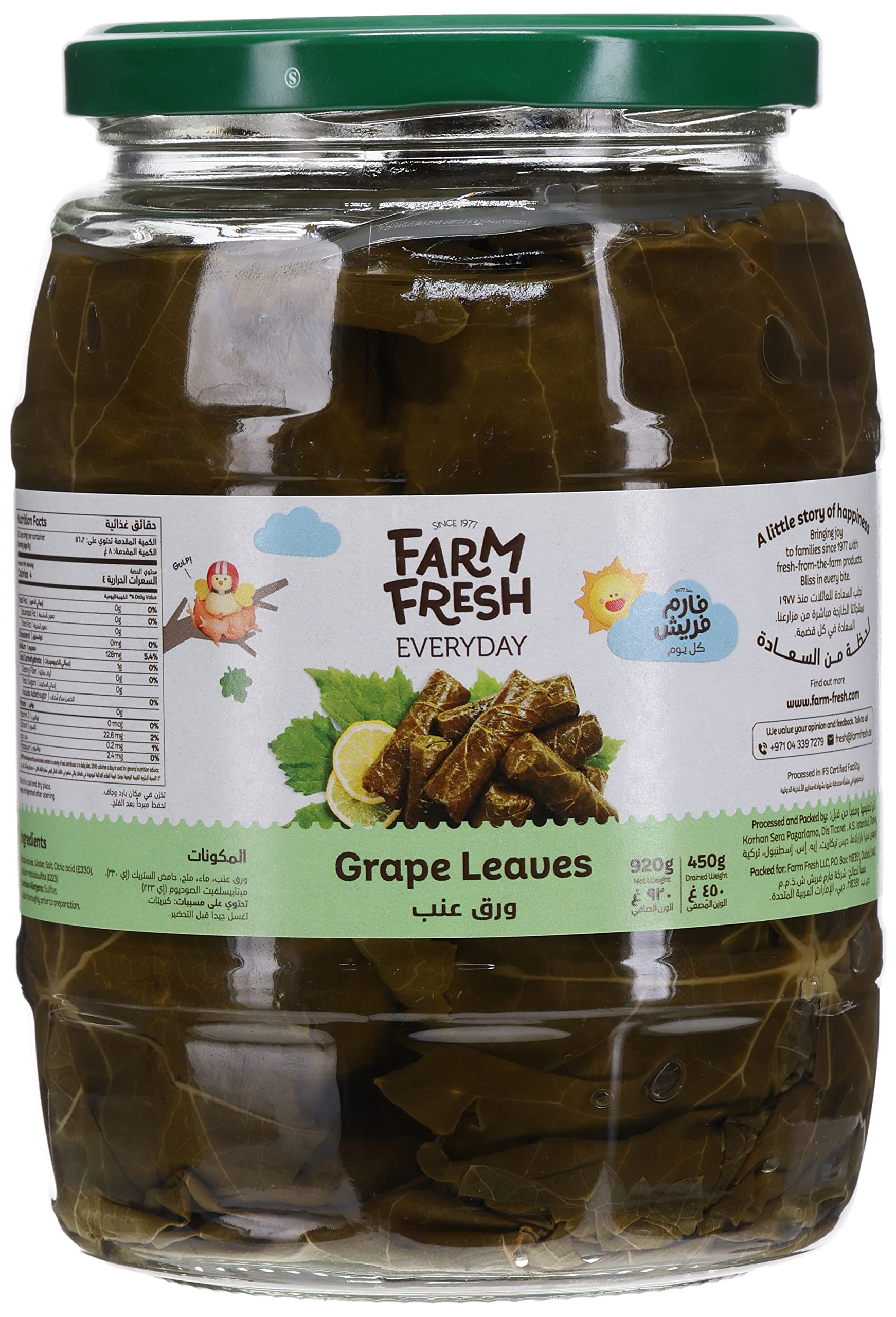 Farm Fresh Everyday Grape Vine Leaves in Brine 920 g