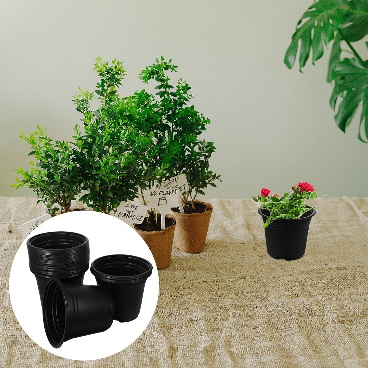 SUPVOX 50pcs Black Plastic Planter Nursery Pots with Drainage Holes for Succulent Seedlings and Plant Propagation, Sturdy Grow Pots Suitable for Indoor and Outdoor Gardening