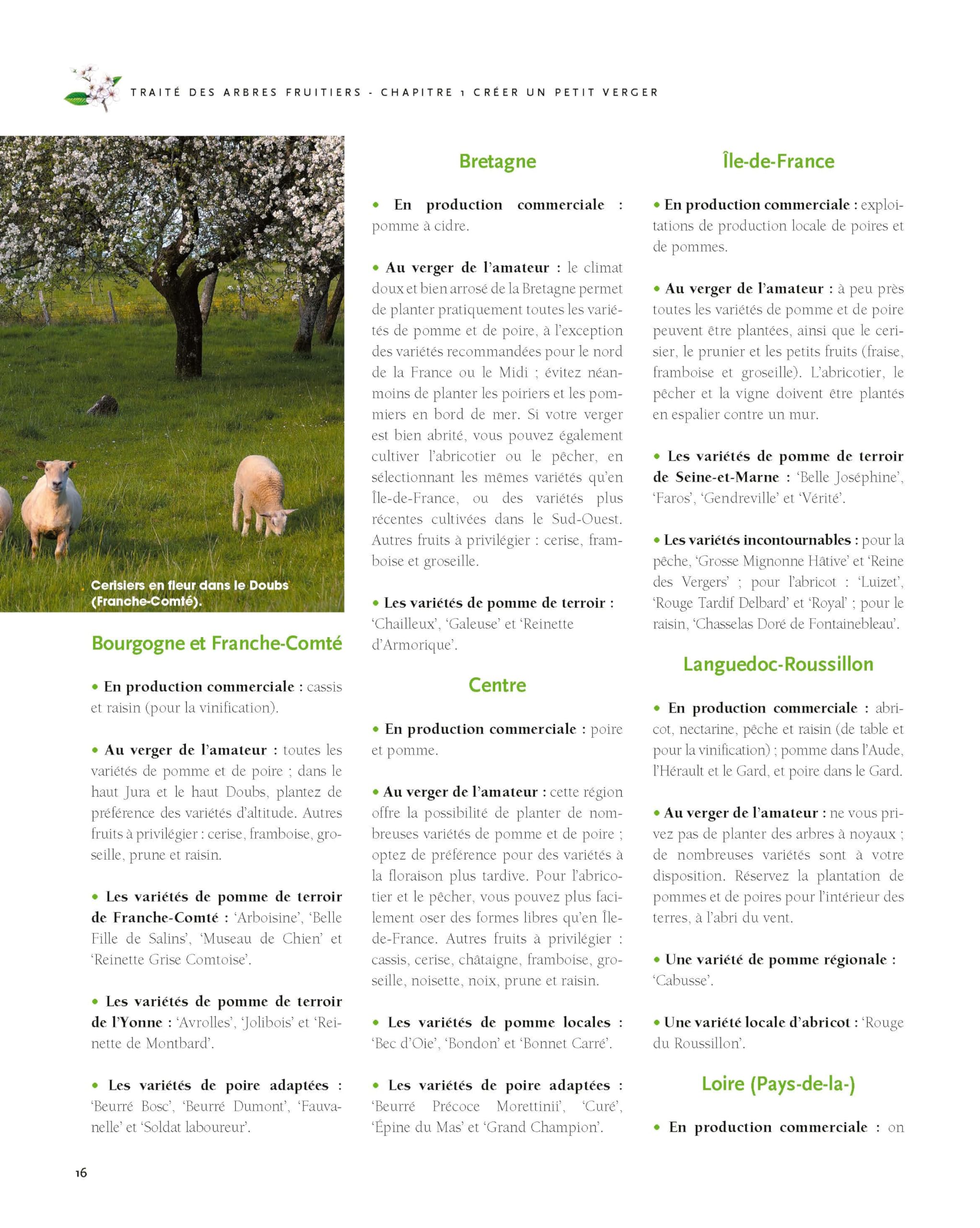 Le traité Rustica des arbres fruitiers