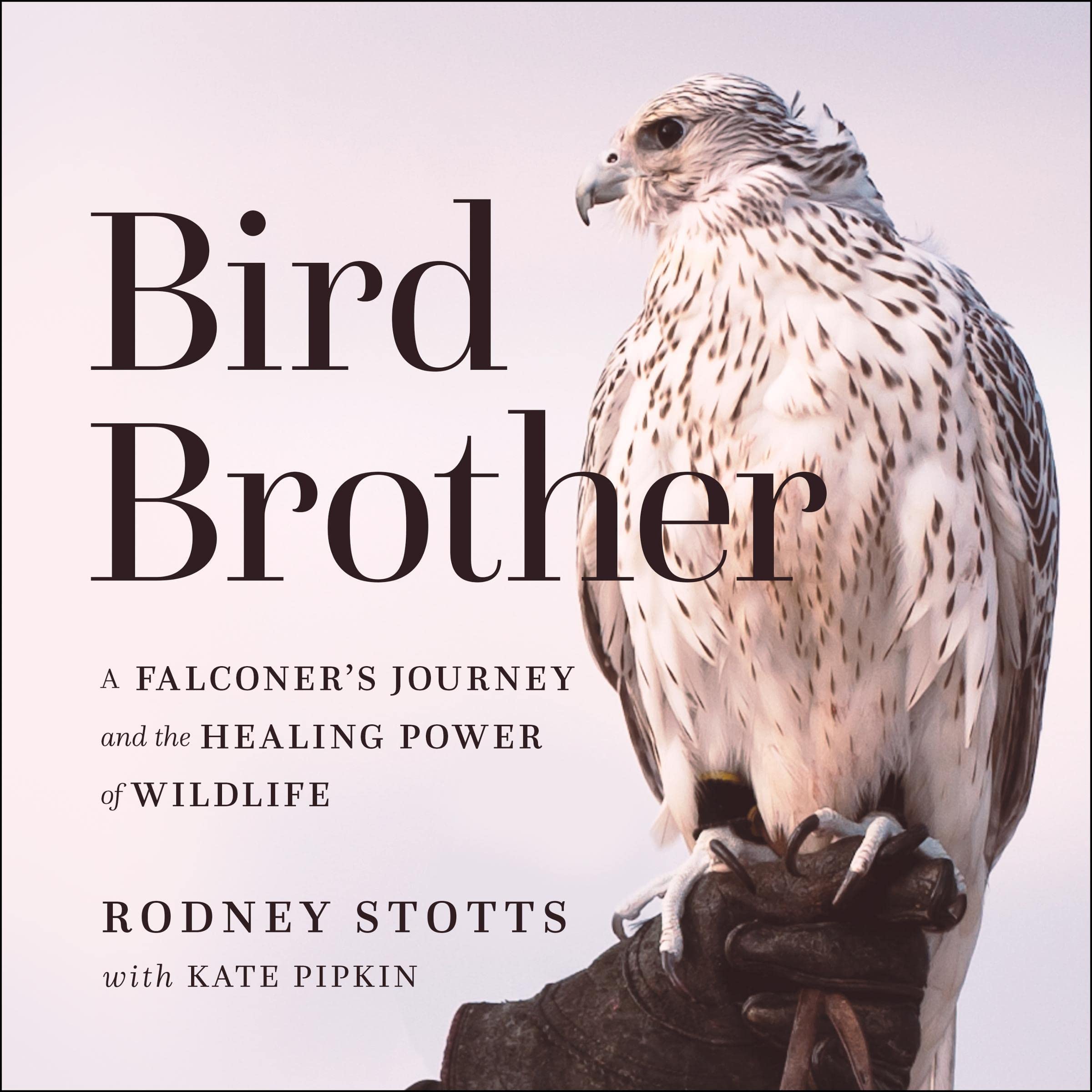 Cover art for Bird Brother