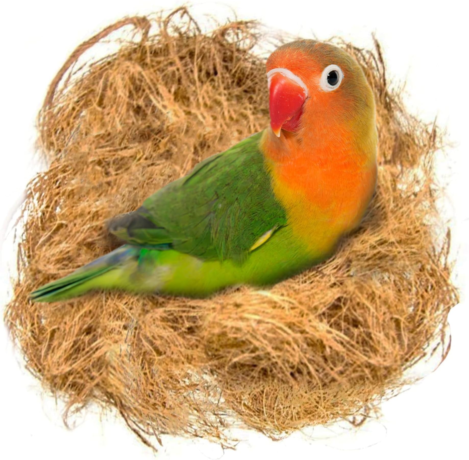 SunGrow Finch Coconut Fiber, Loose Bedding Substrate for Birds Nest Cages, Nesting Material for Budgie Hummingbird Canary Parakeet, 1.5 oz