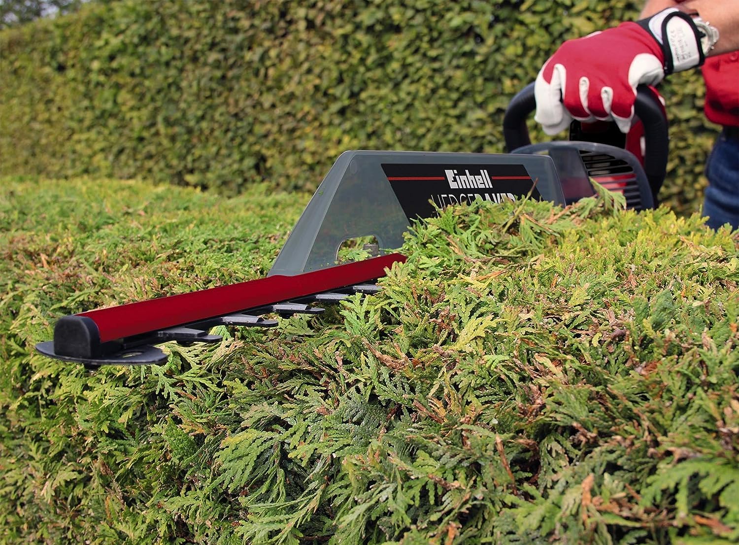Einhell Recortasetos eléctrico con Cable - GE-Eh 6560 (240 V, 650 W, 50 Hz, Longitud de Corte: 600 mm, Longitud de la Hoja: 660 mm, Espacio Entre Dientes: 30 mm)