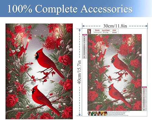 Miniatura 2 de JFYHAB Kits de pintura de diamantes 5D para adultos, kit cardenal norteamericano de perforación completa, pintura de diamantes de imitación, taladro