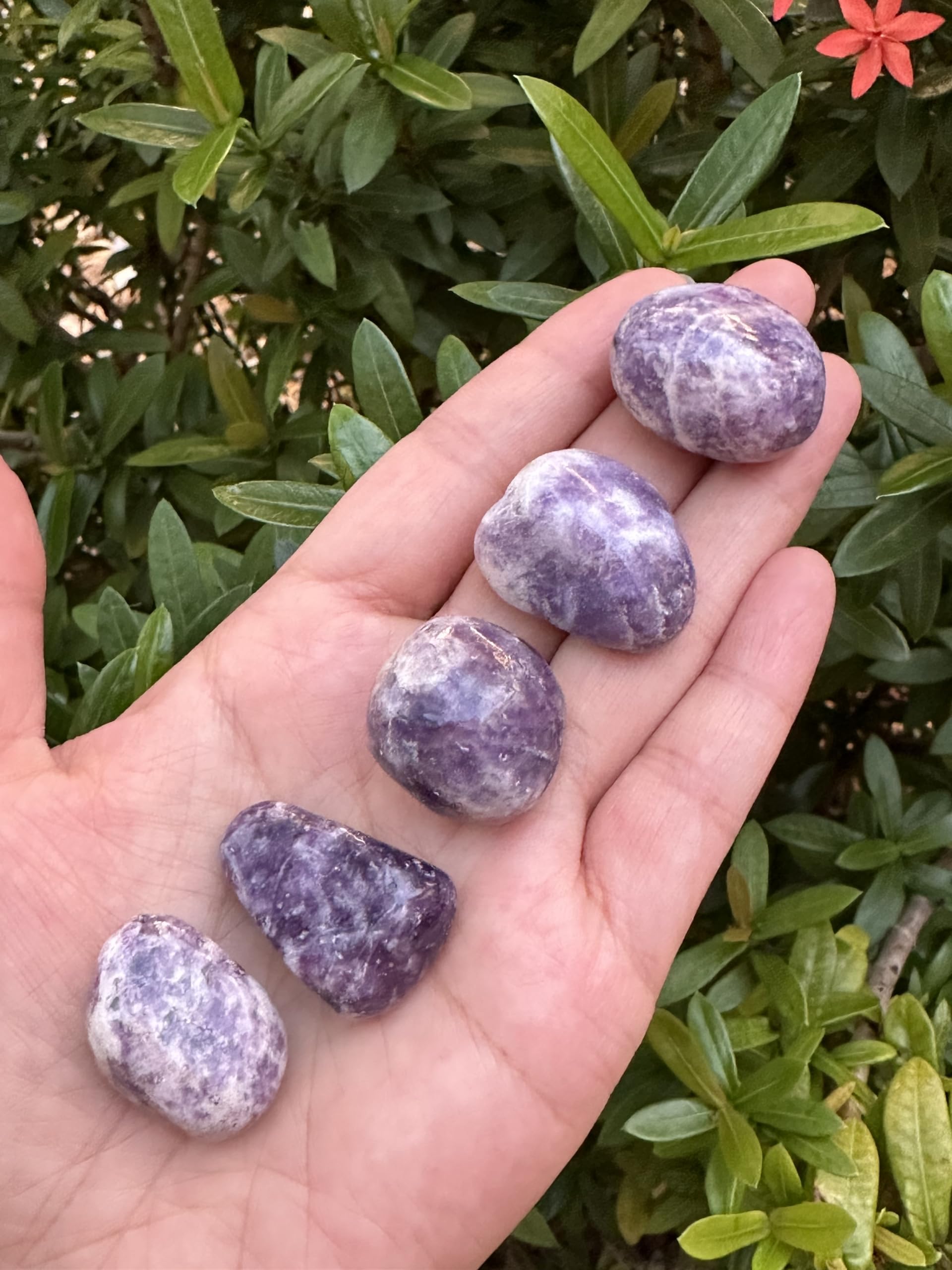 GAF TREASURES5 Pcs Lepidolite Tumbled Stones, Polished Lepidolite Gemstone, Lepidolite Healing Crystals (Lepidolite)