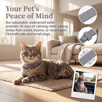 4Pcs Cat Calming Collar, Adjustable Cat Collar with Gentle Soothing Scents Waterproof & Adjustable Collars for Cats Kitten Puppy, Long-Lasting 30-Day Effect (Gray)