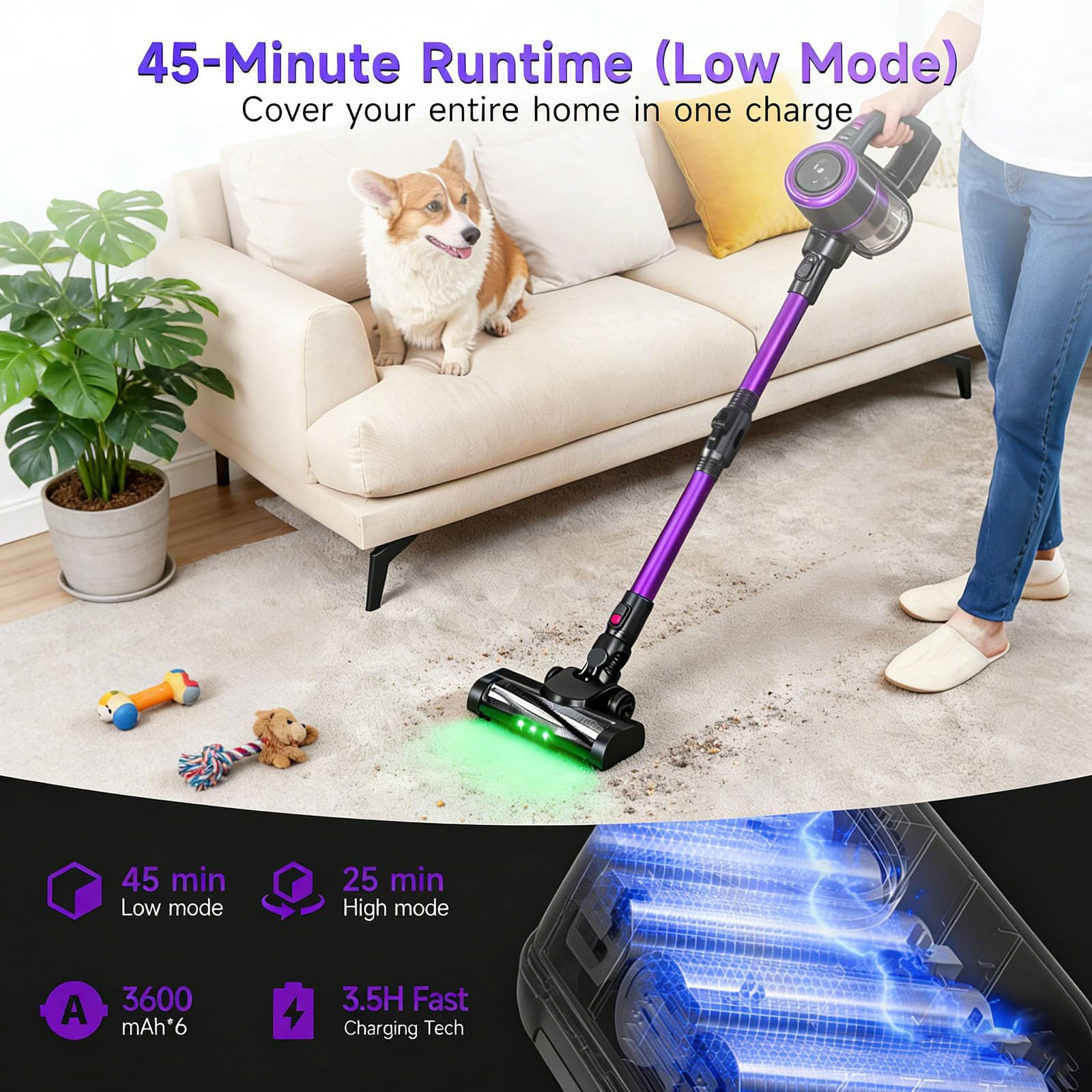 https://m.media-amazon.com/images/I/81UmzBmCU1L.jpg