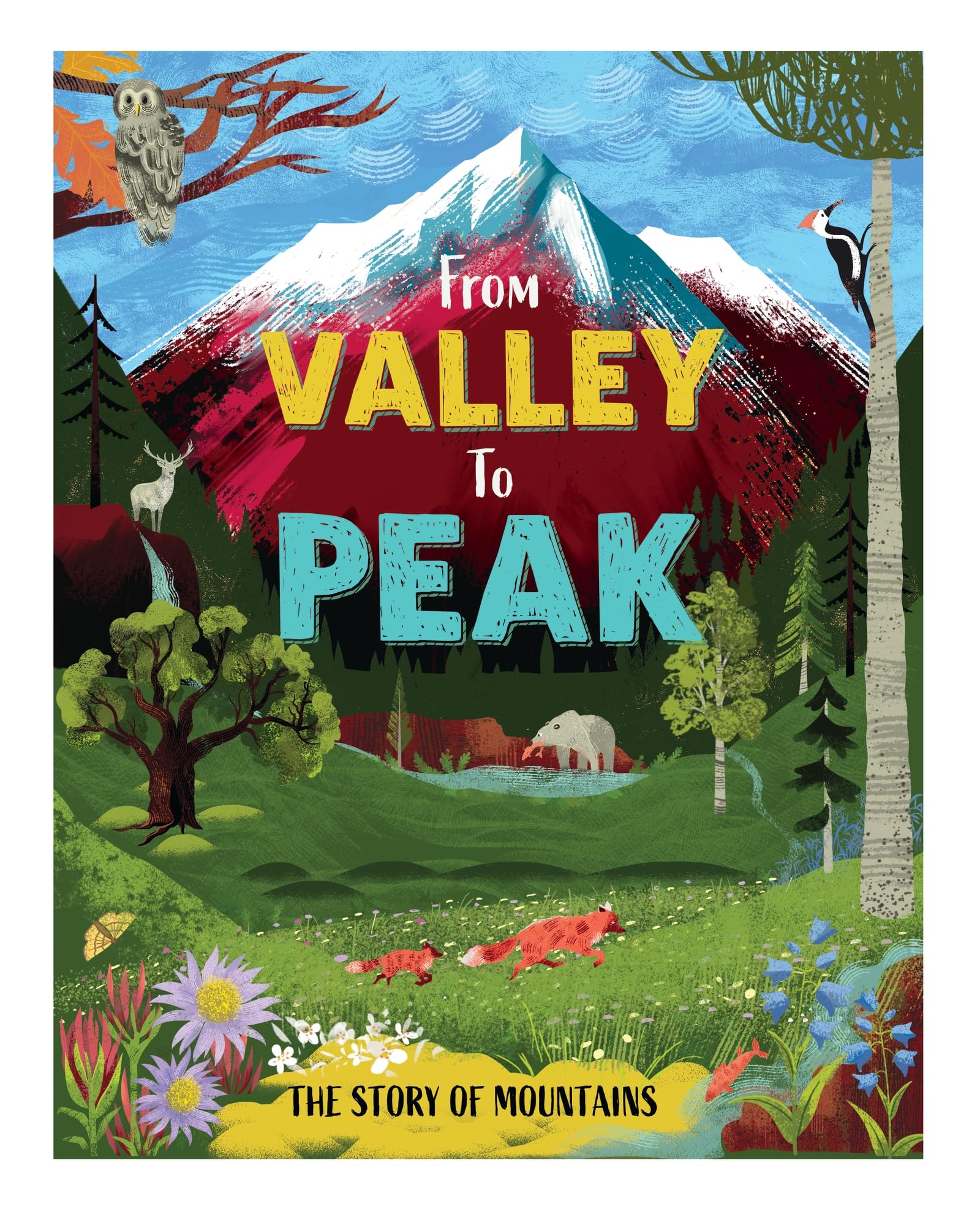From Valley to Peak: The Story of Mountains (Nature's Journeys)