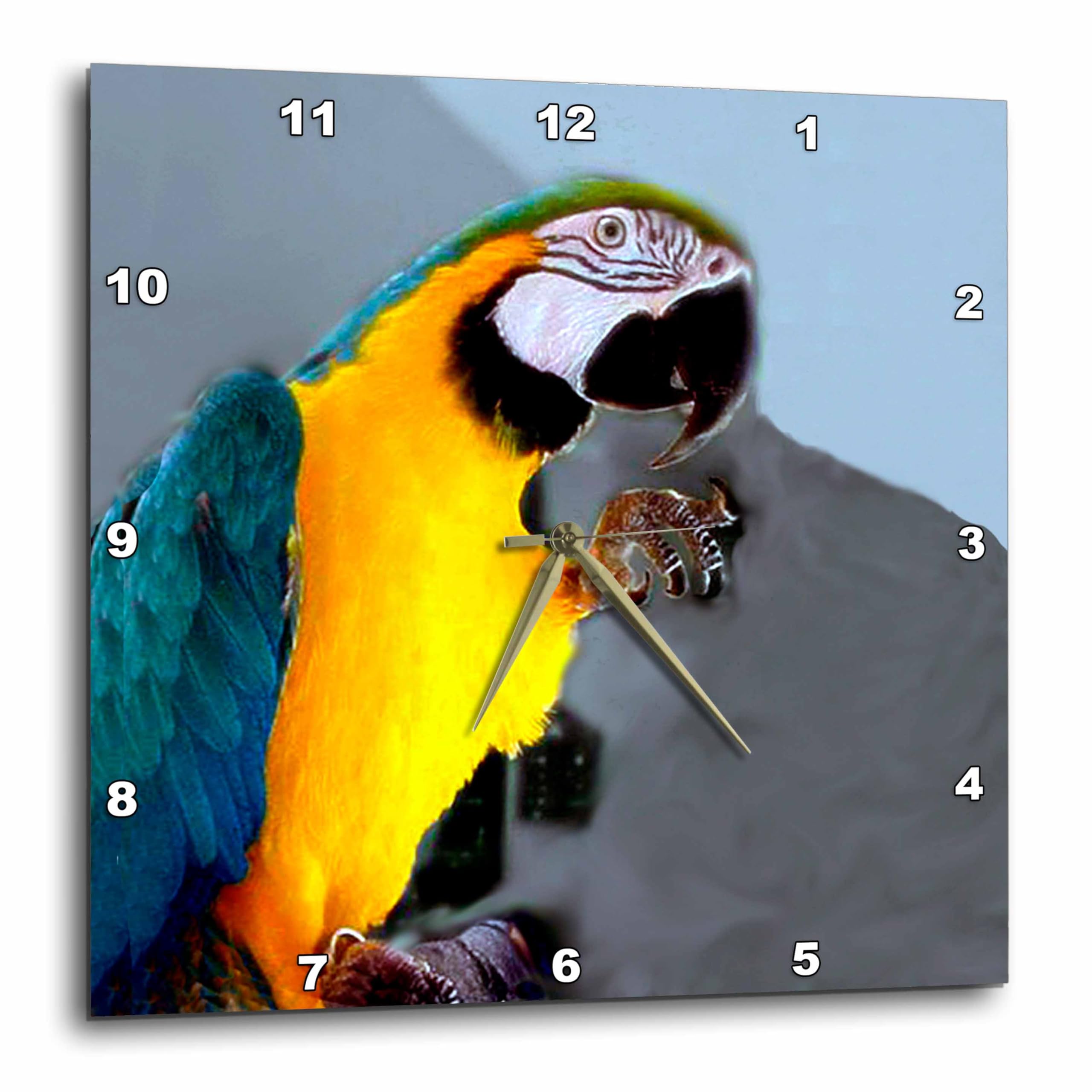 Horloge murale bleu et doré 25,4 cm : cadran élégant pour salon