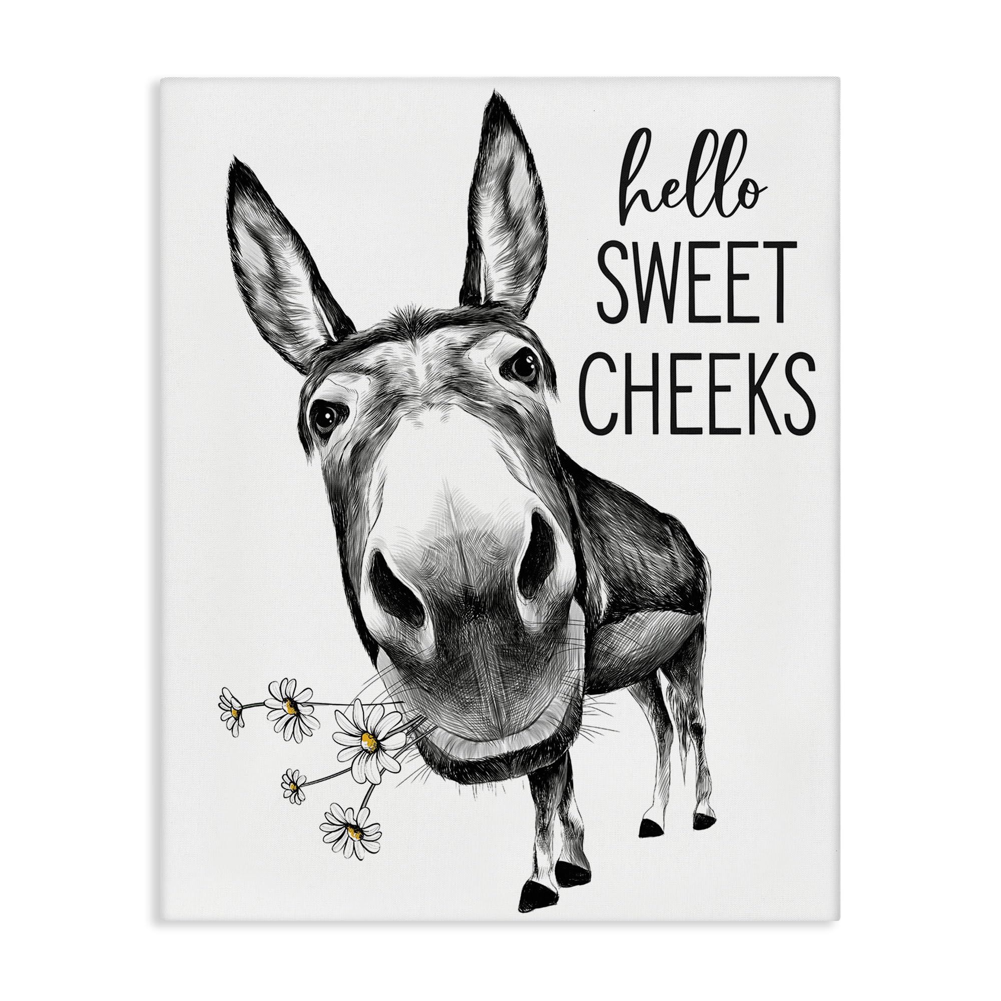 Stupell Industries 'Hello Sweet Cheeks Animal Humor Donkey Daisies', Canvas Art, 24 x 30 Inches, Easy to Hang and Sturdy, Made in USA, by Lettered and Lined